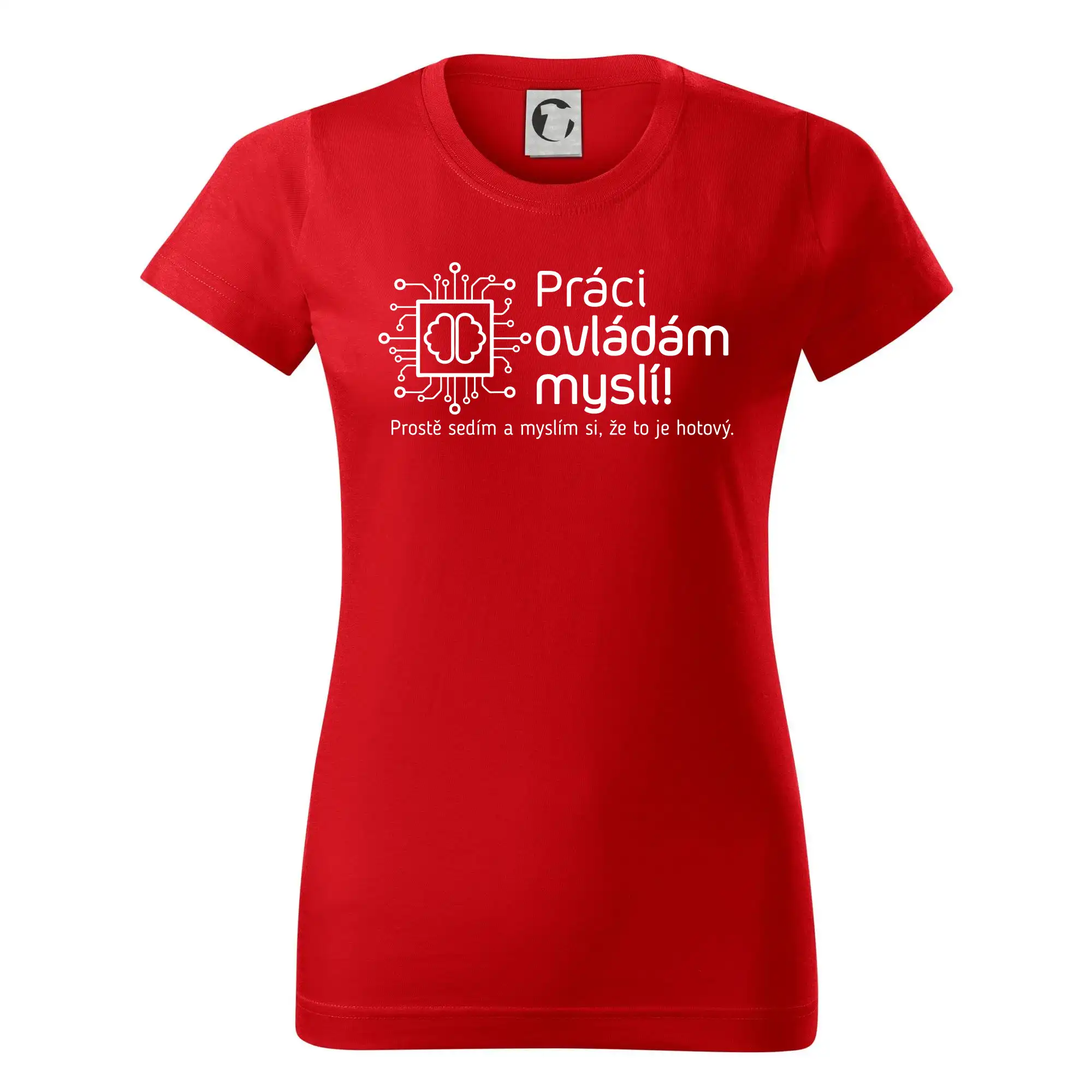 Práci ovládám myslí