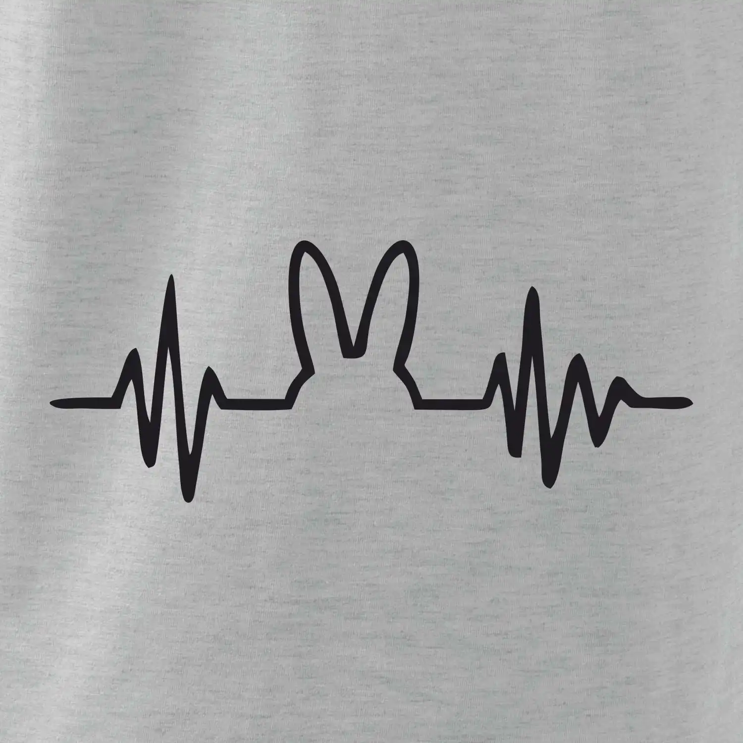 EKG zajíc