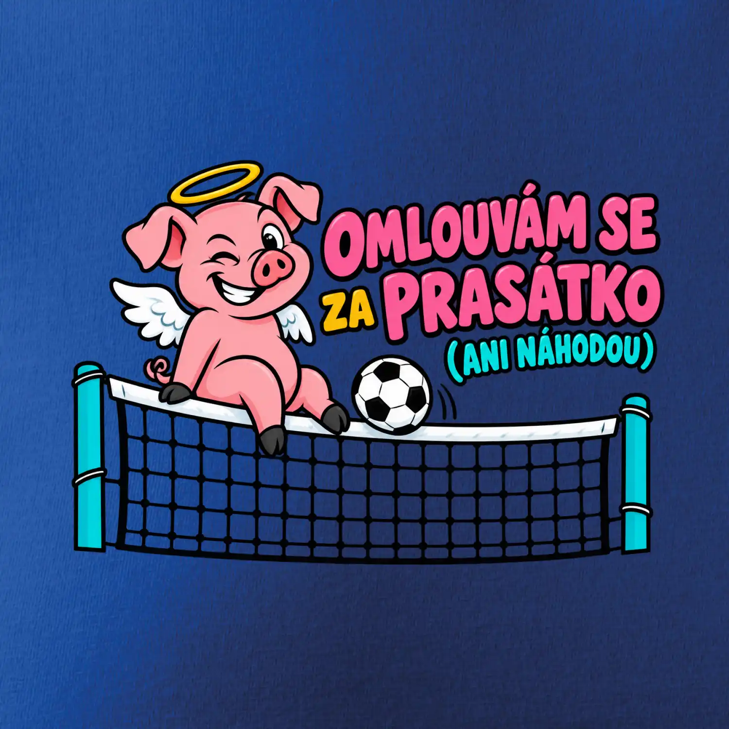 Nohejbalové prasátko na síti