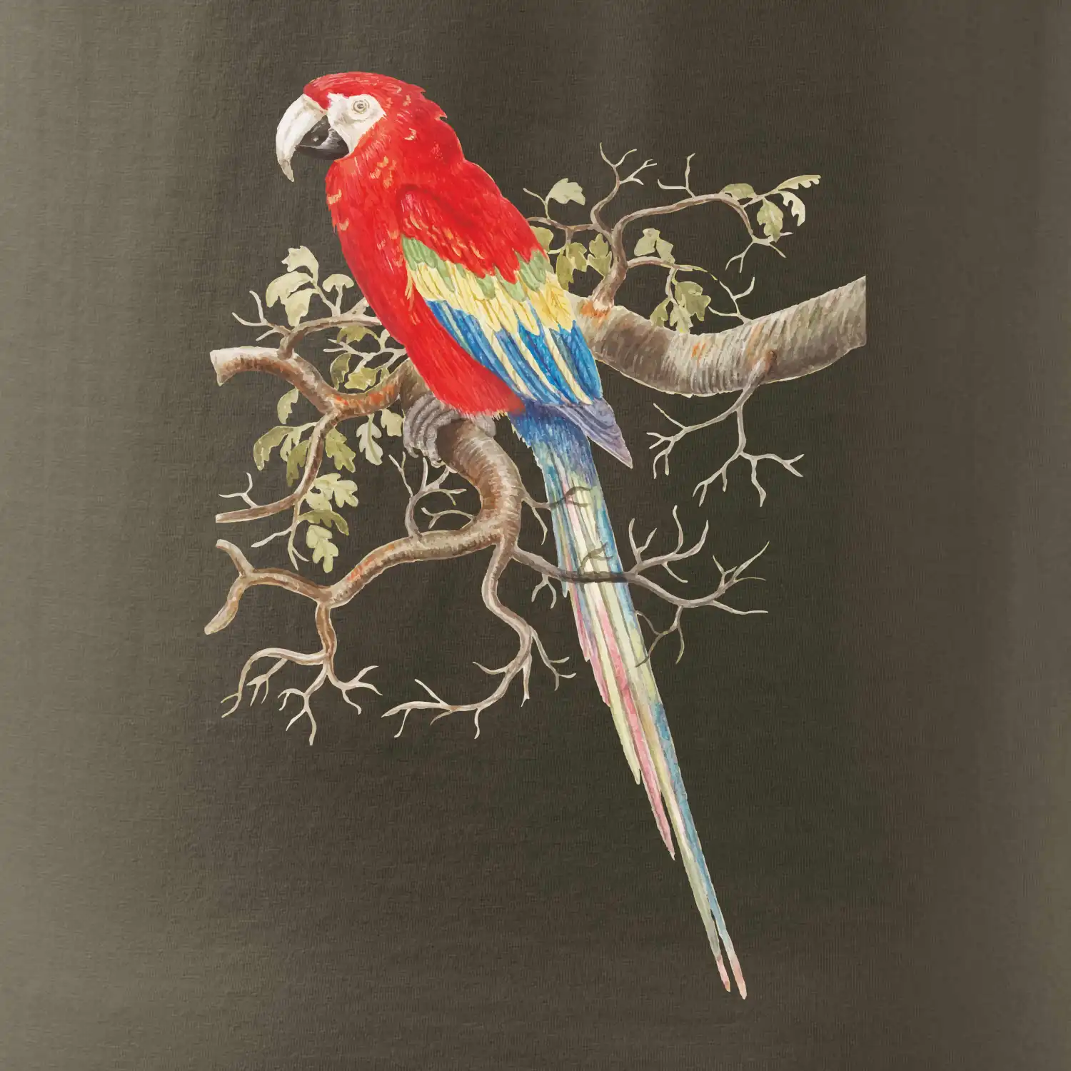 Papoušek na listnatém stromě