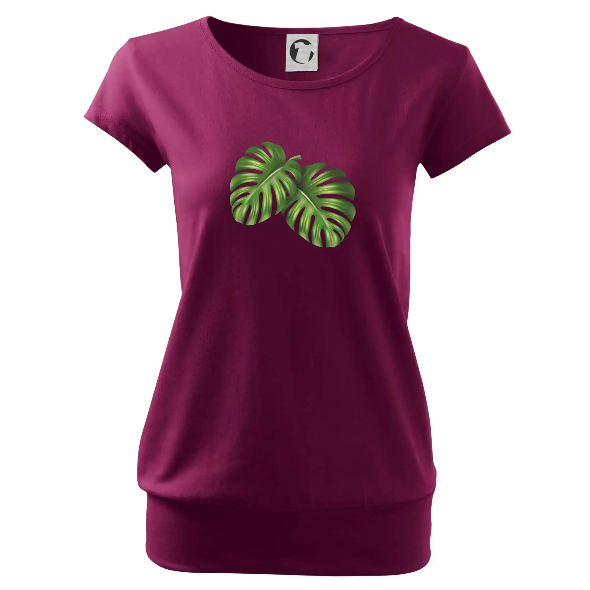 Monstera - dva listy