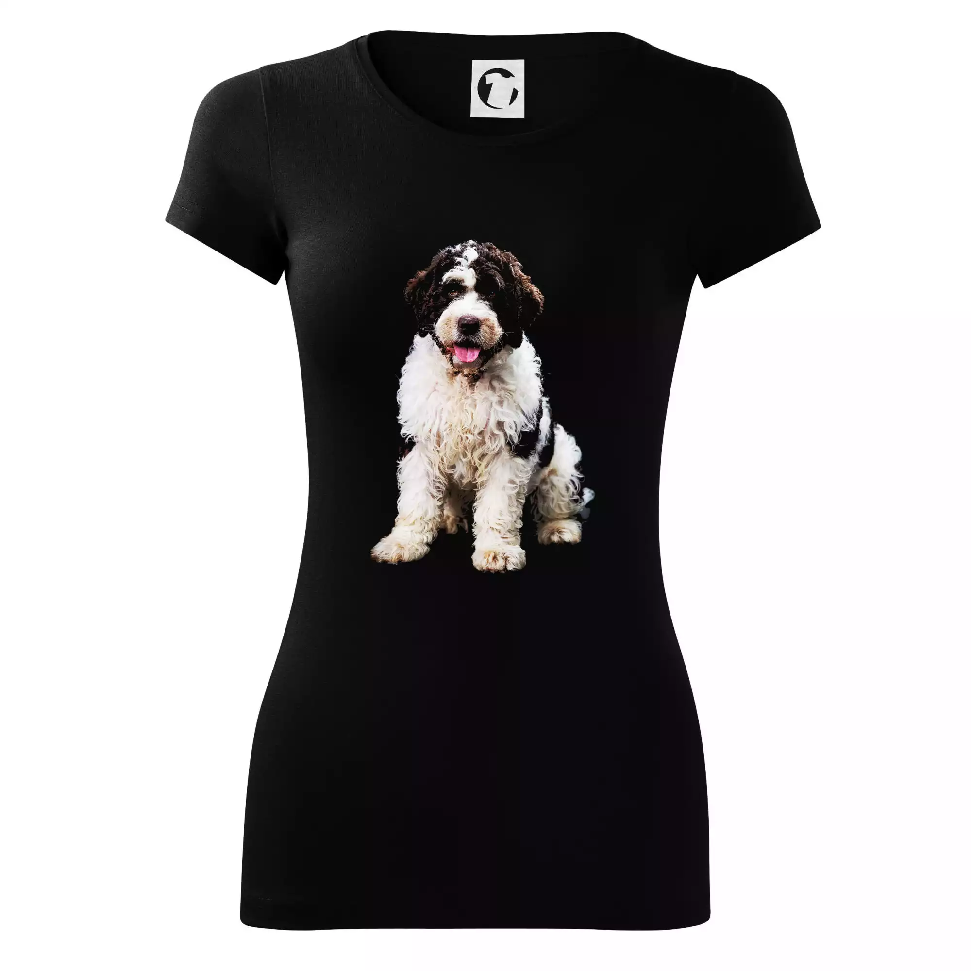 Lagotto romagnolo fotka ve tmě