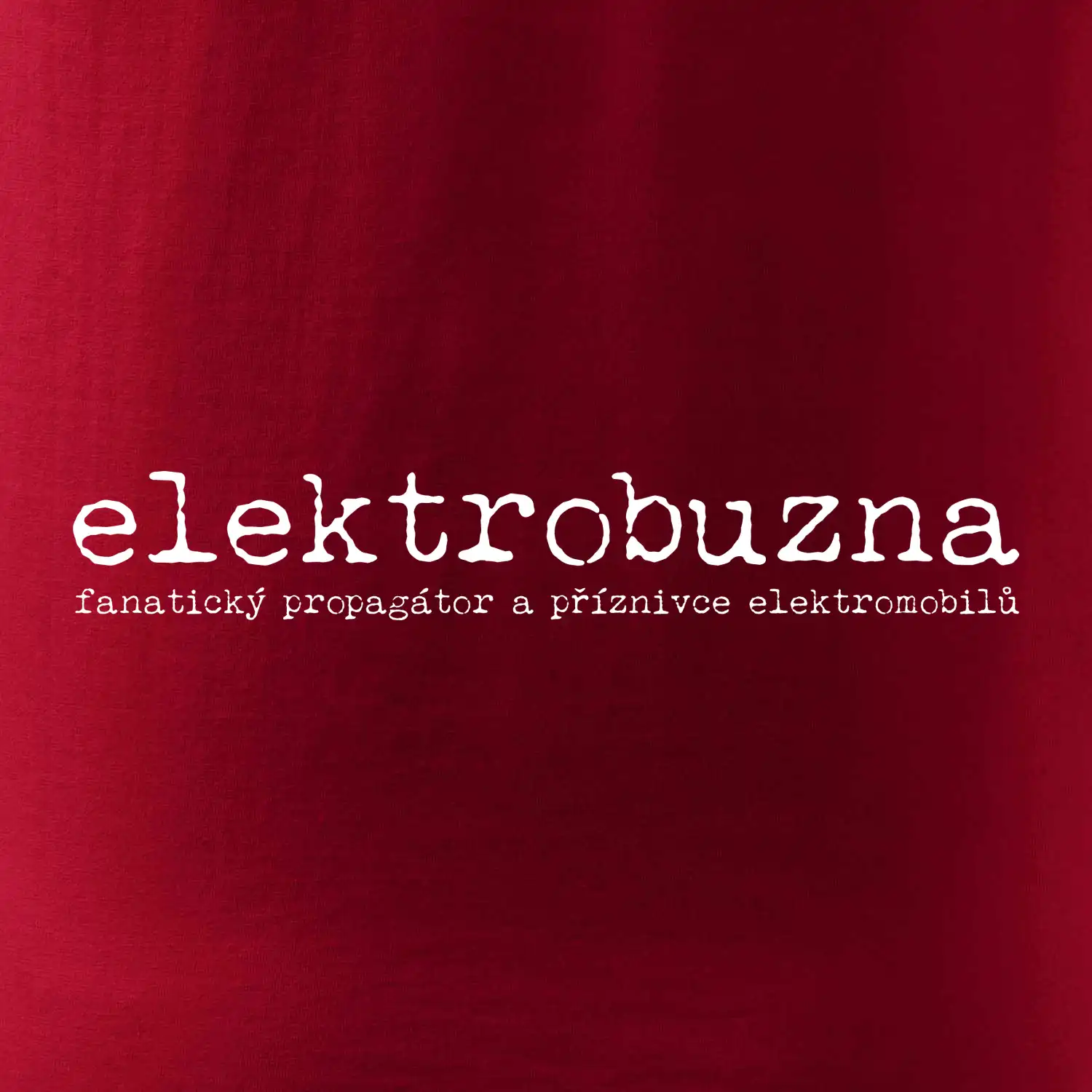 Čeština 2.0 - elektrobuzna