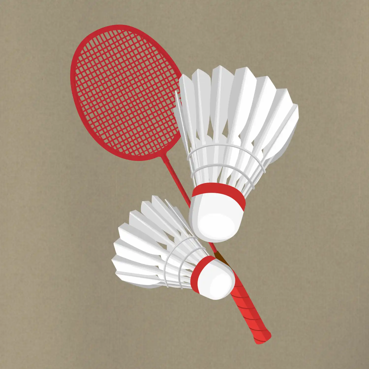 Badminton - pálka a košík