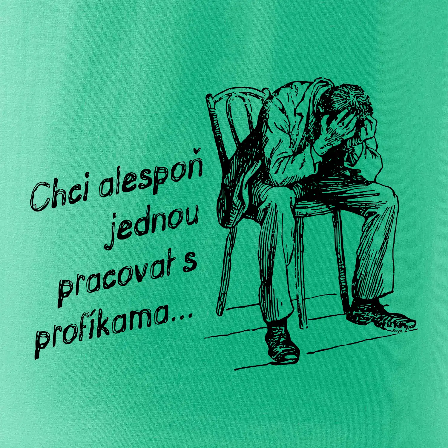 Chci alespoň jednou pracovat s profíkama