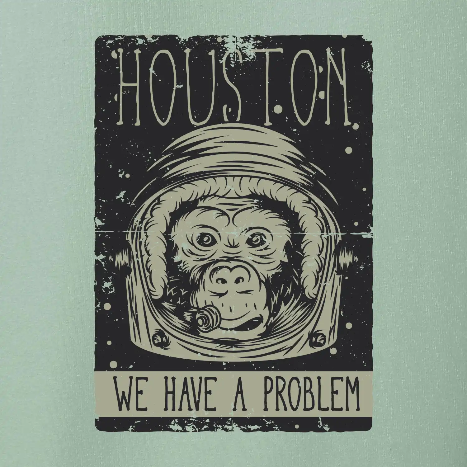 Houston we have a problem