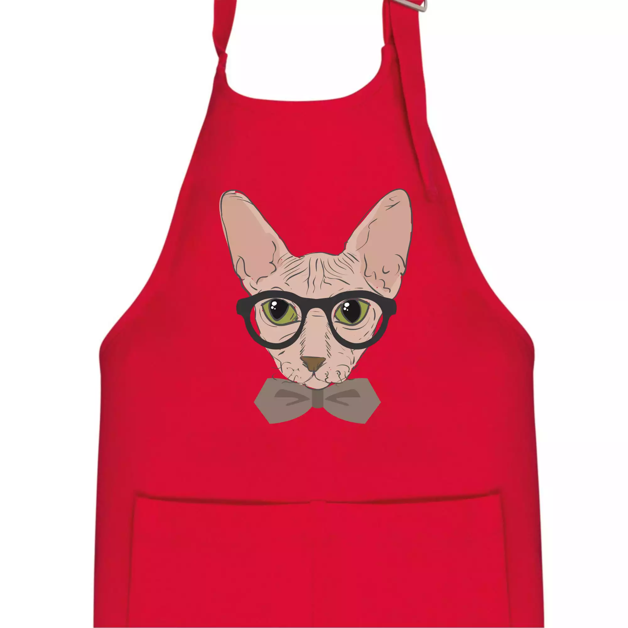 Hipster sphynx