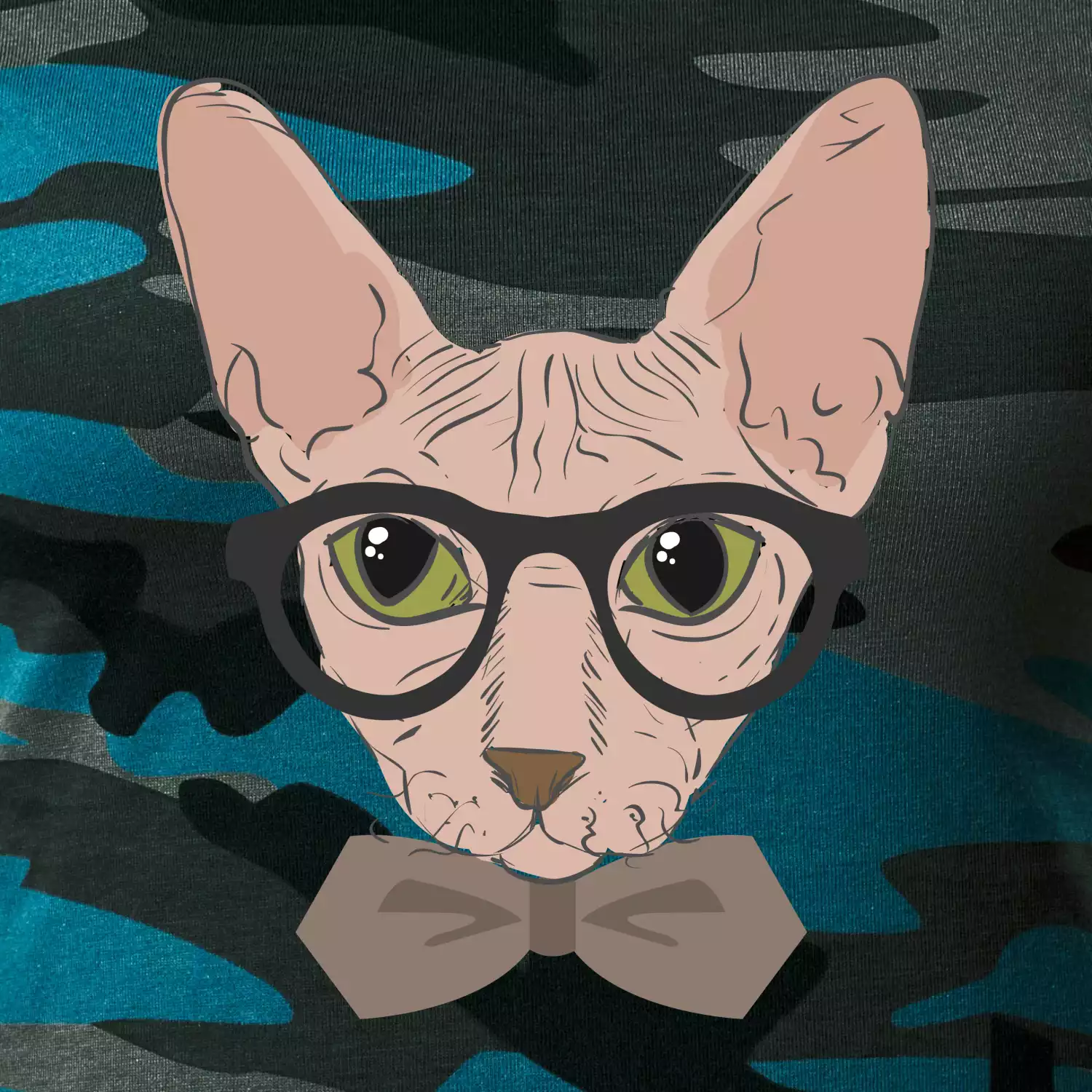 Hipster sphynx