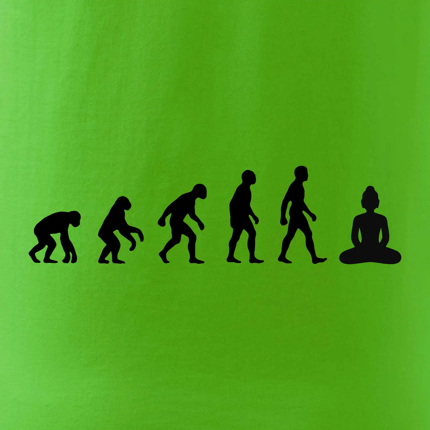 Evoluce budha