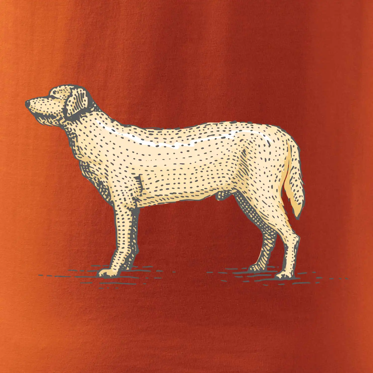 Vintage Labrador