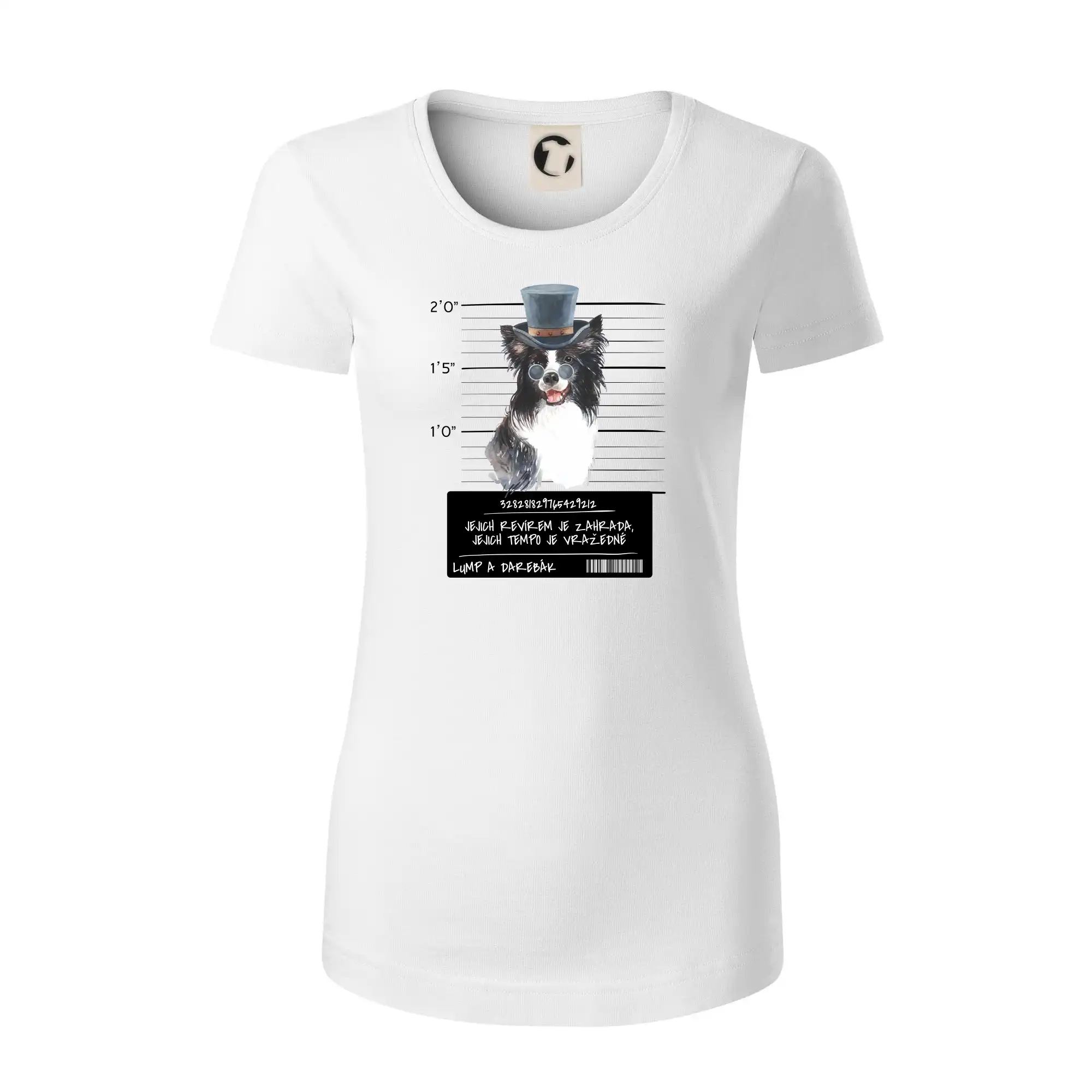 Lump a darebák border kolie