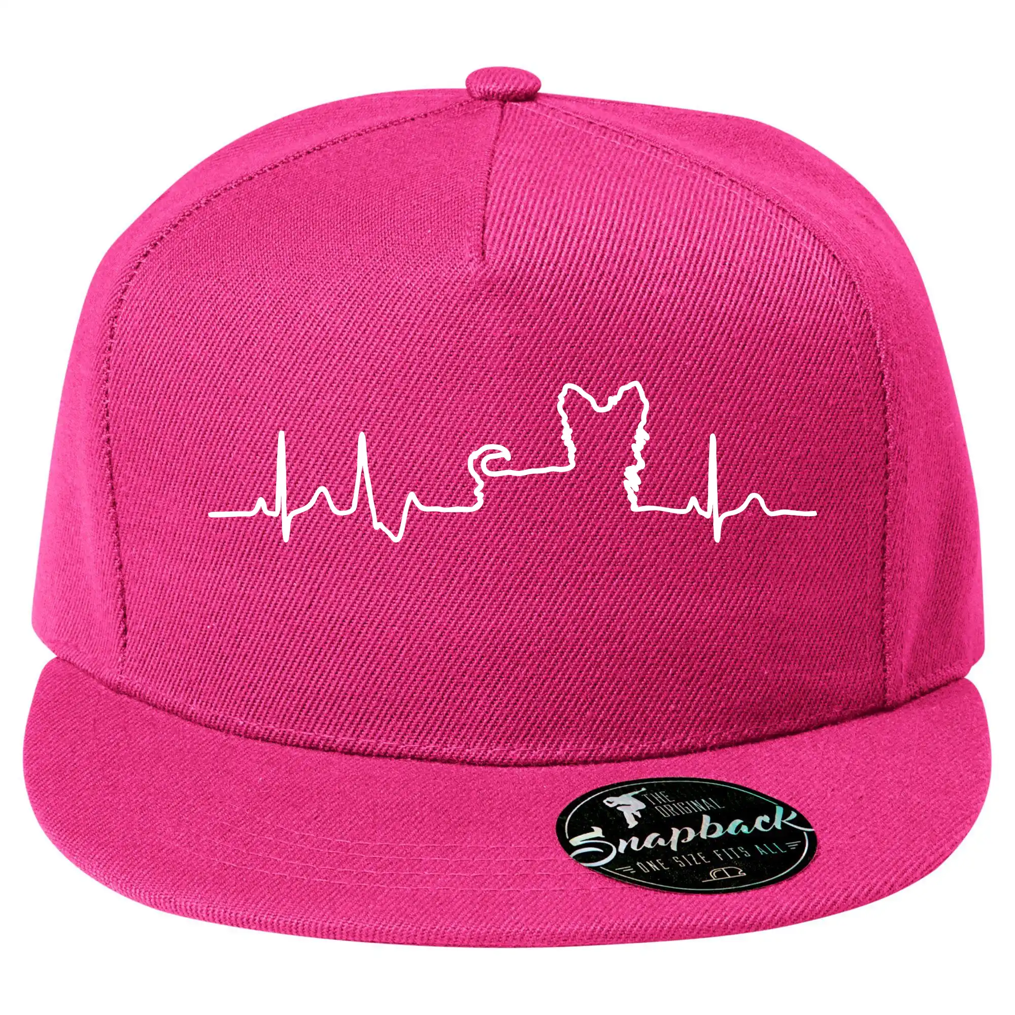 Jorkšírský teriér EKG