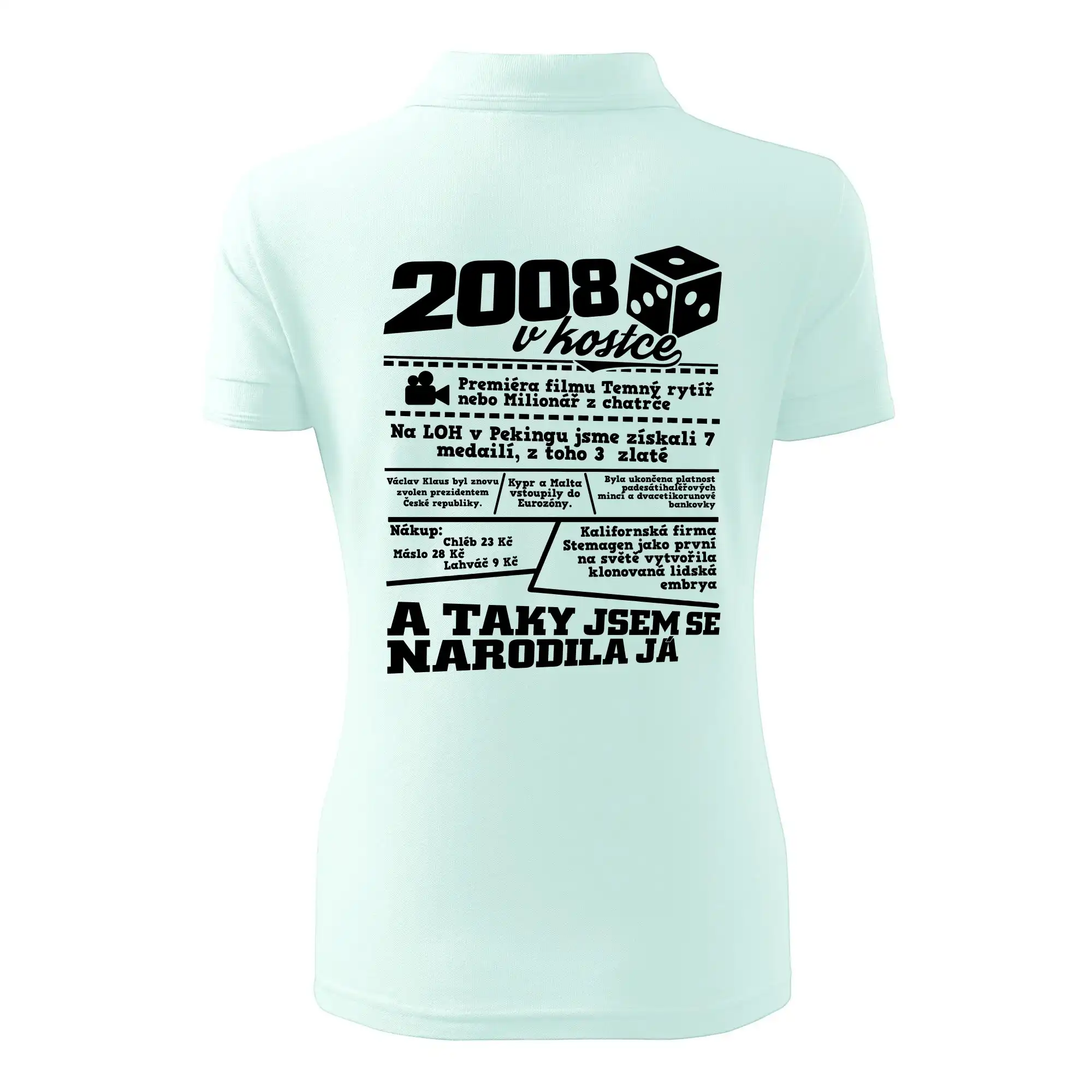 2008 v kostce