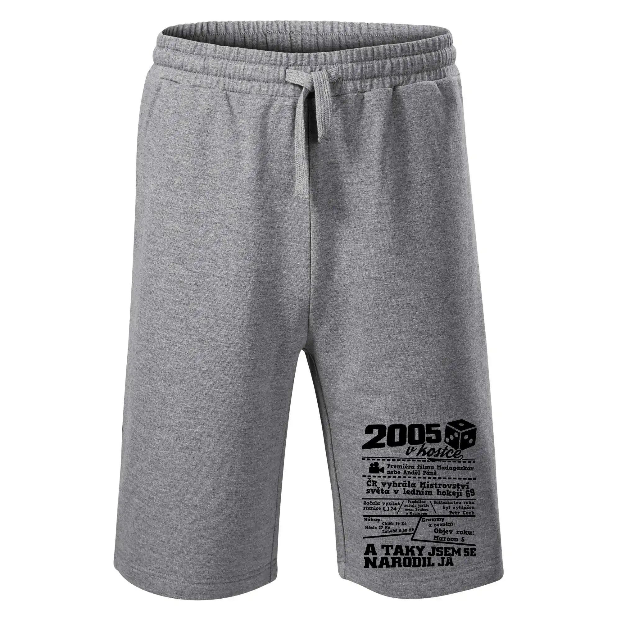 2005 v kostce