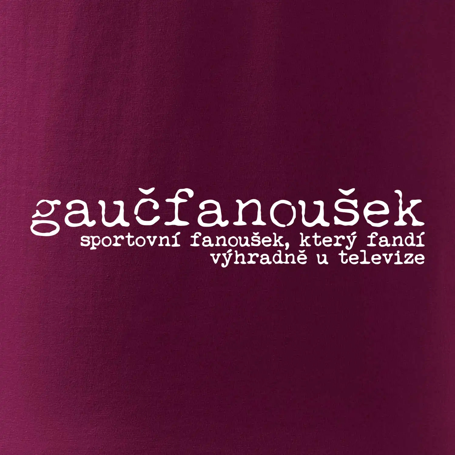 Čeština 2.0 - gaučfanoušek
