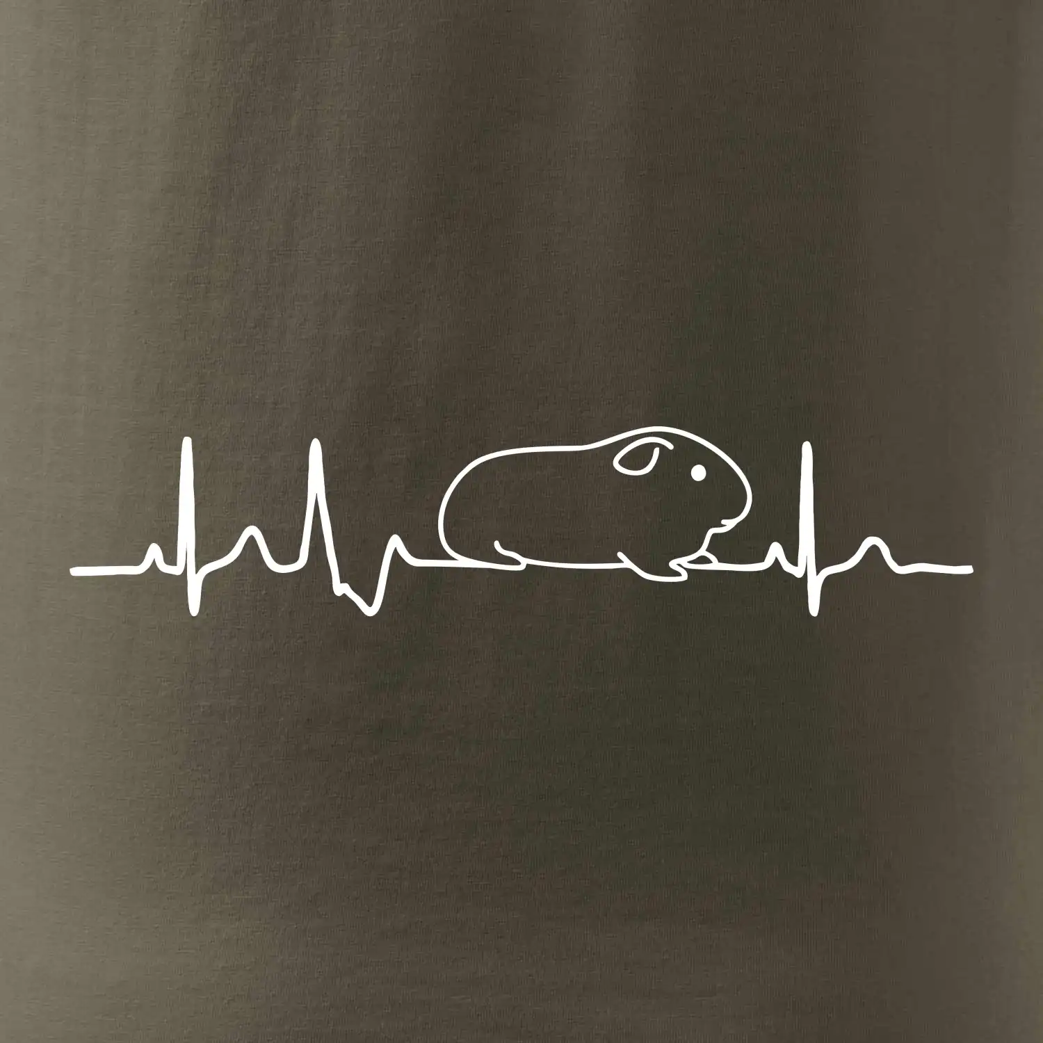 EKG morče