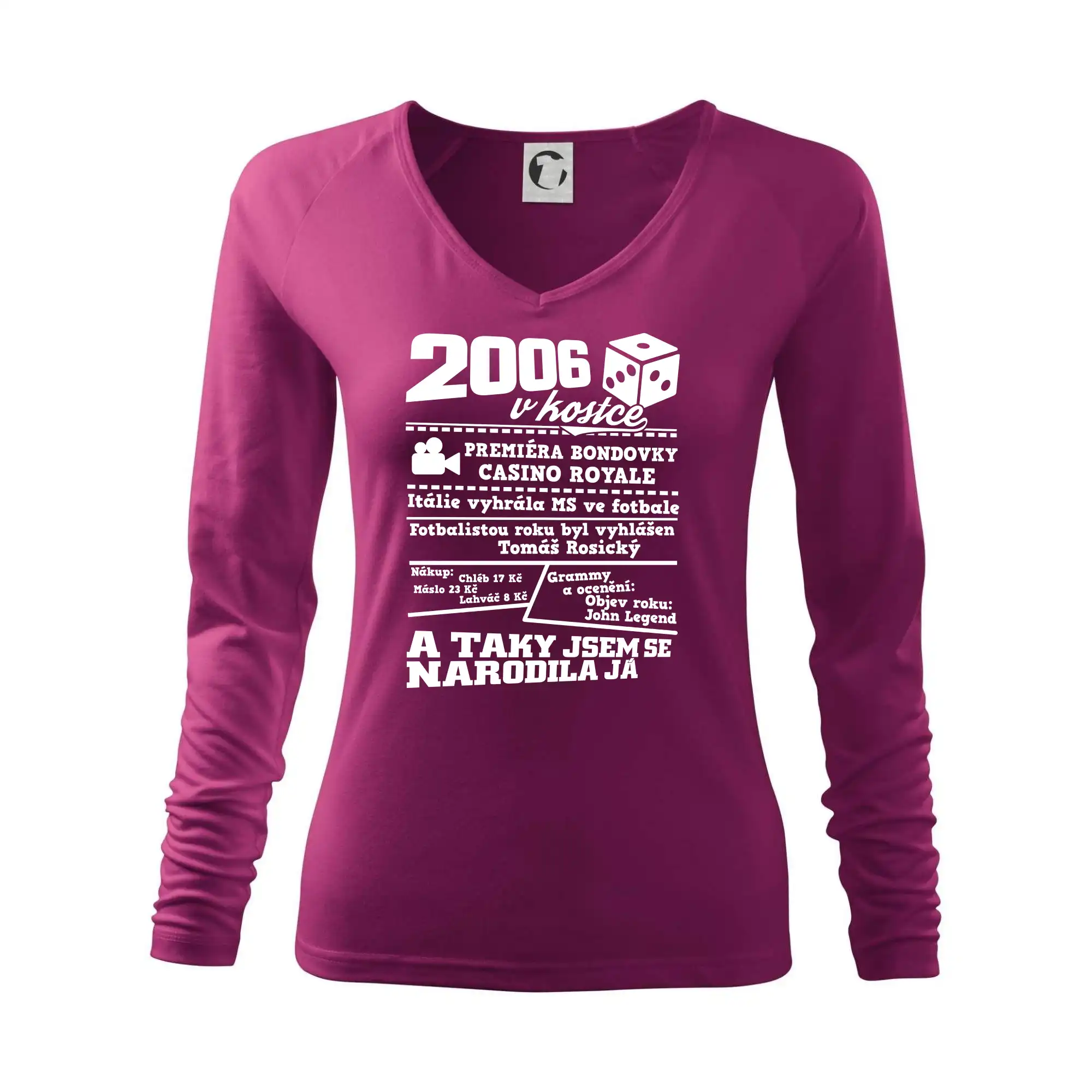 2006 v kostce
