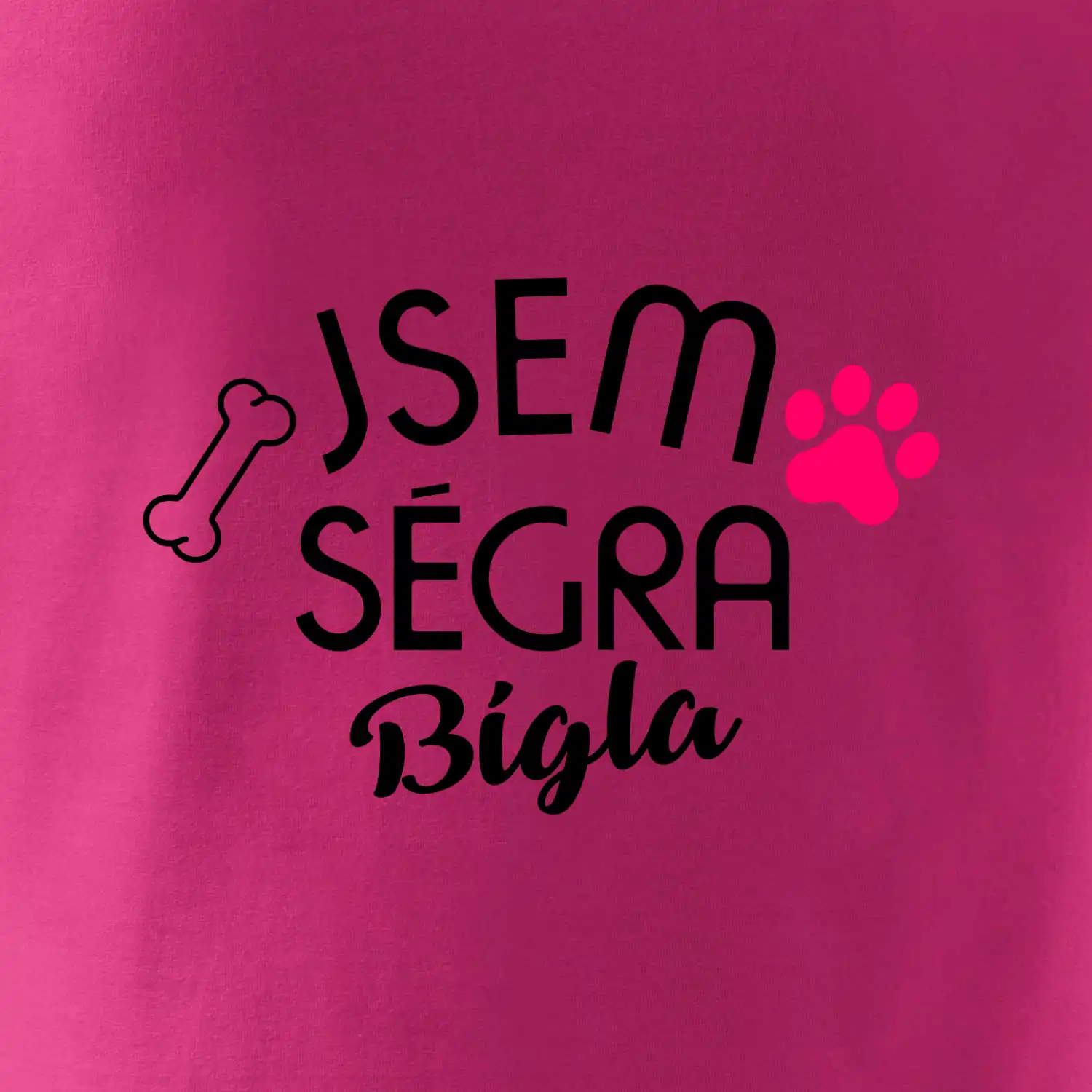 Jsem ségra Bígla
