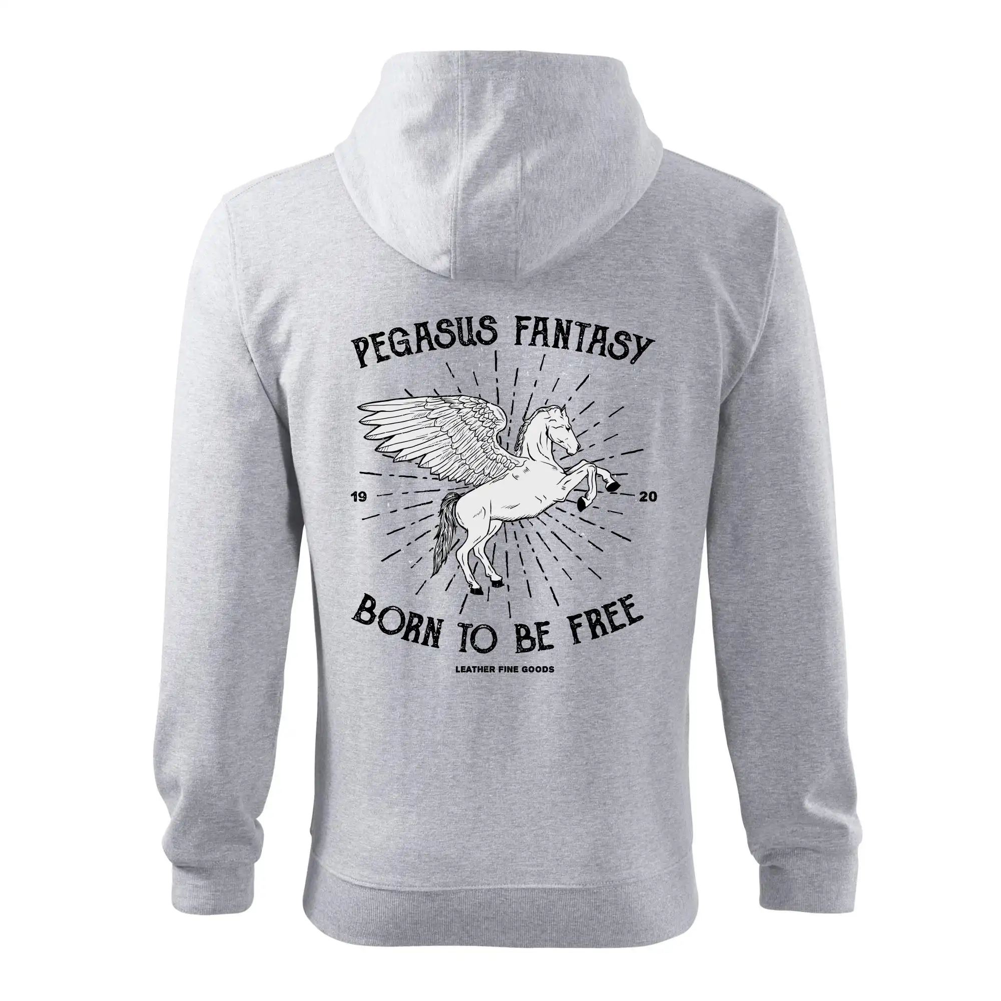 Pegasus fantasy