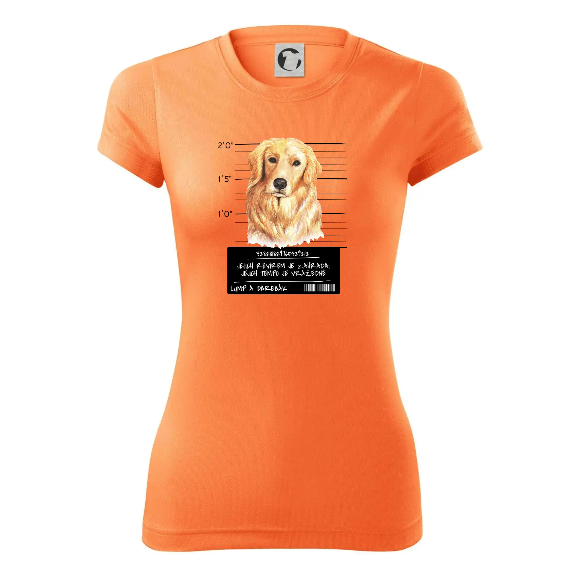 Lump a darebák zlatý retrívr