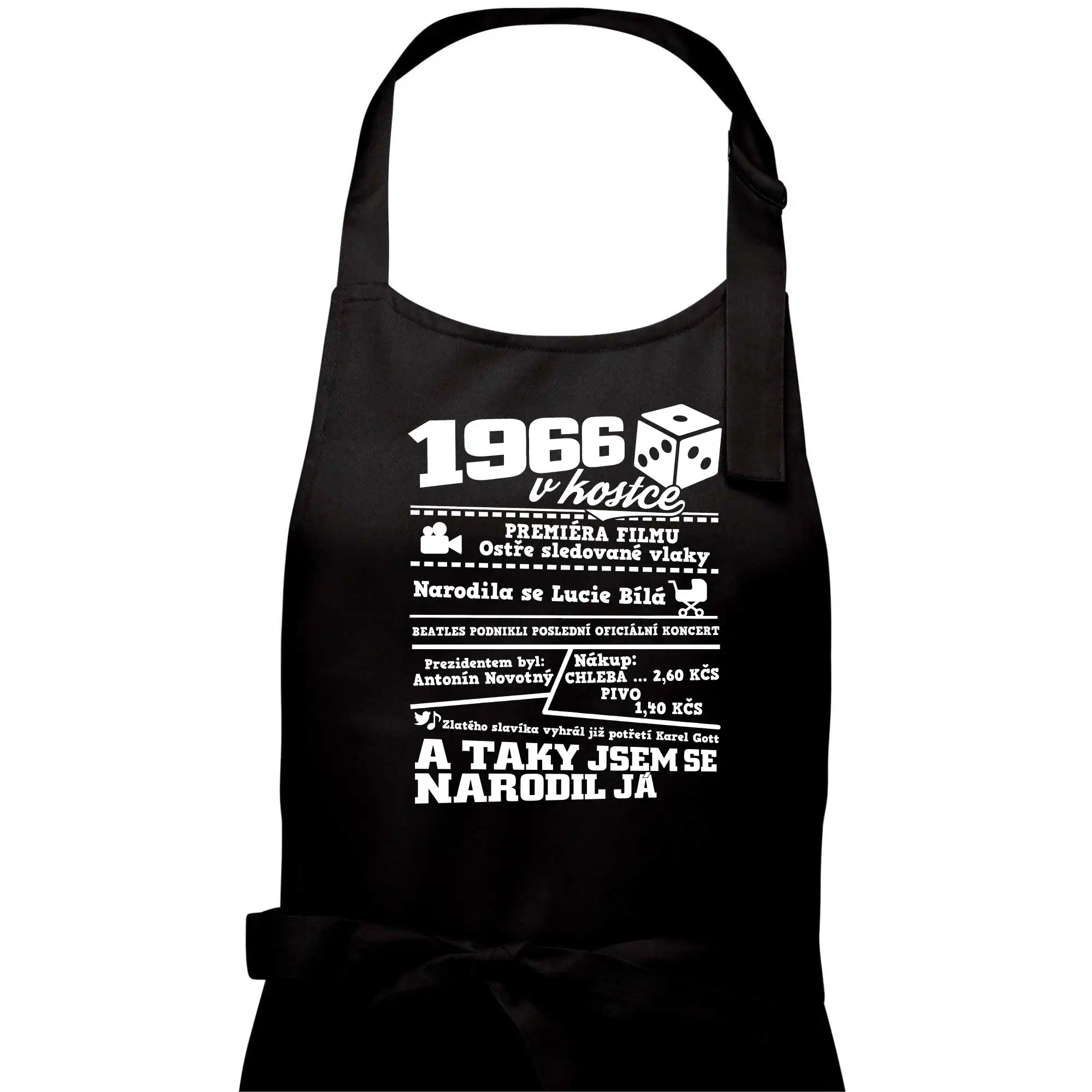1966 v kostce