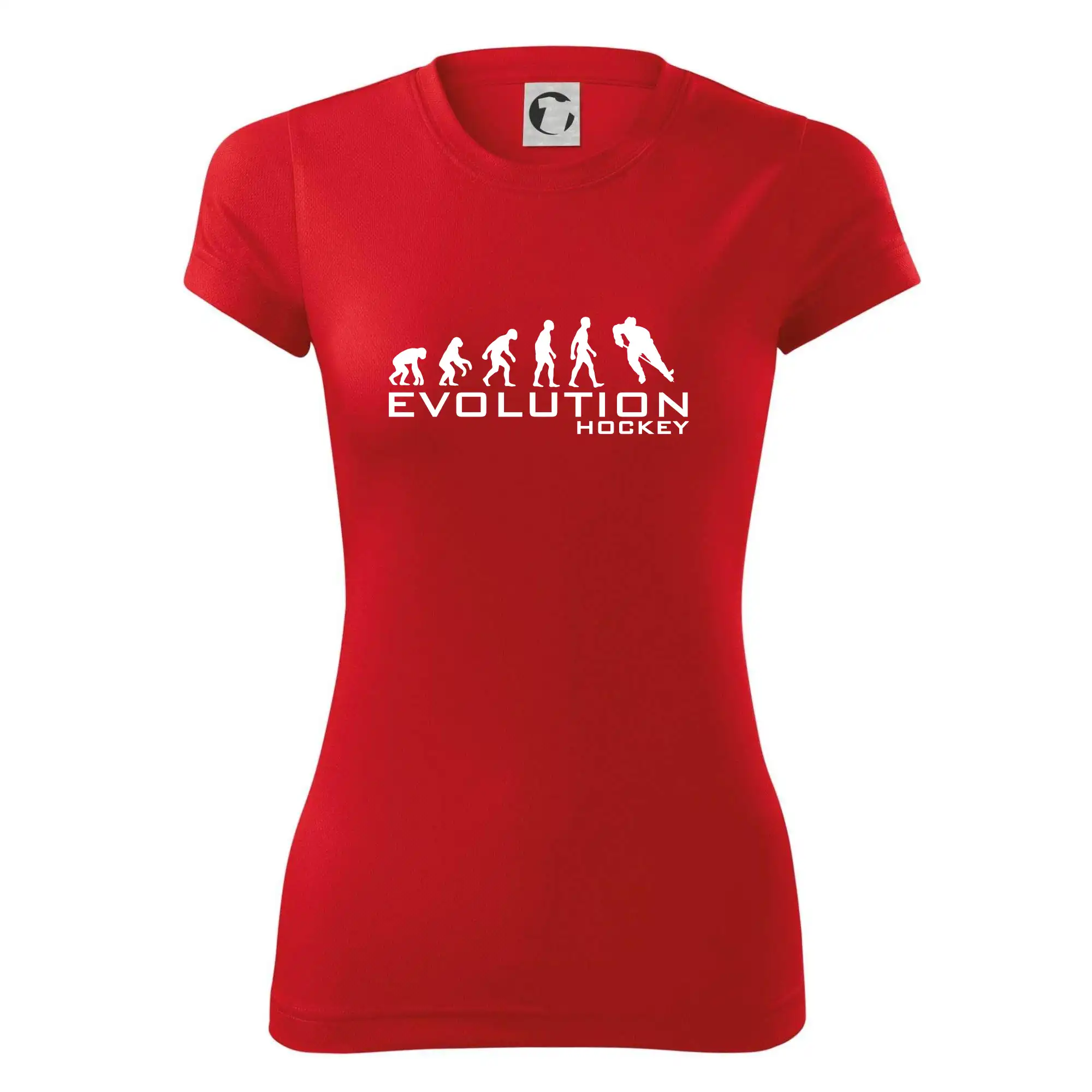 Evoluce Hockey - hráč