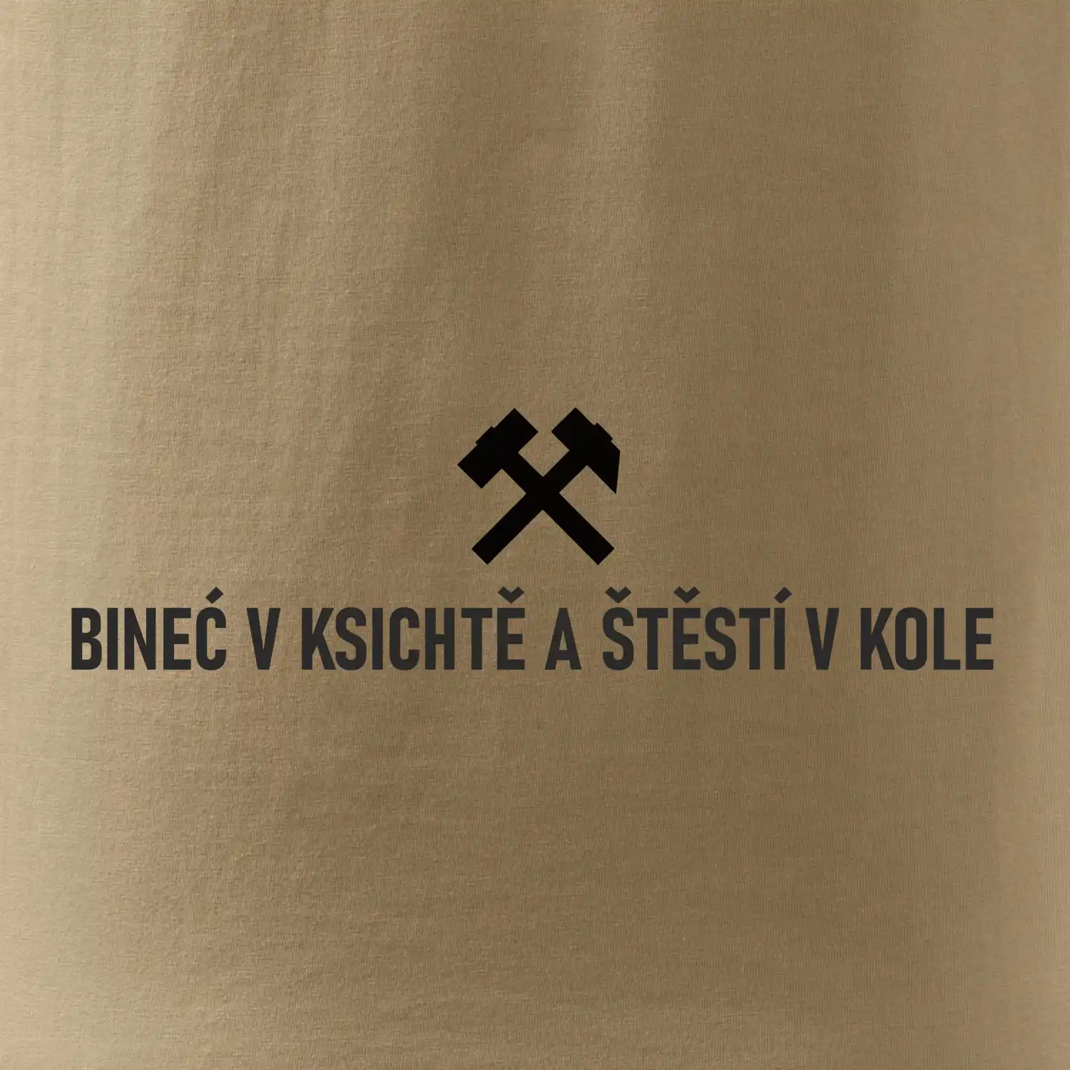 BINEĆ V KSICHTĚ A ŠTĚSTÍ V KOLE﻿