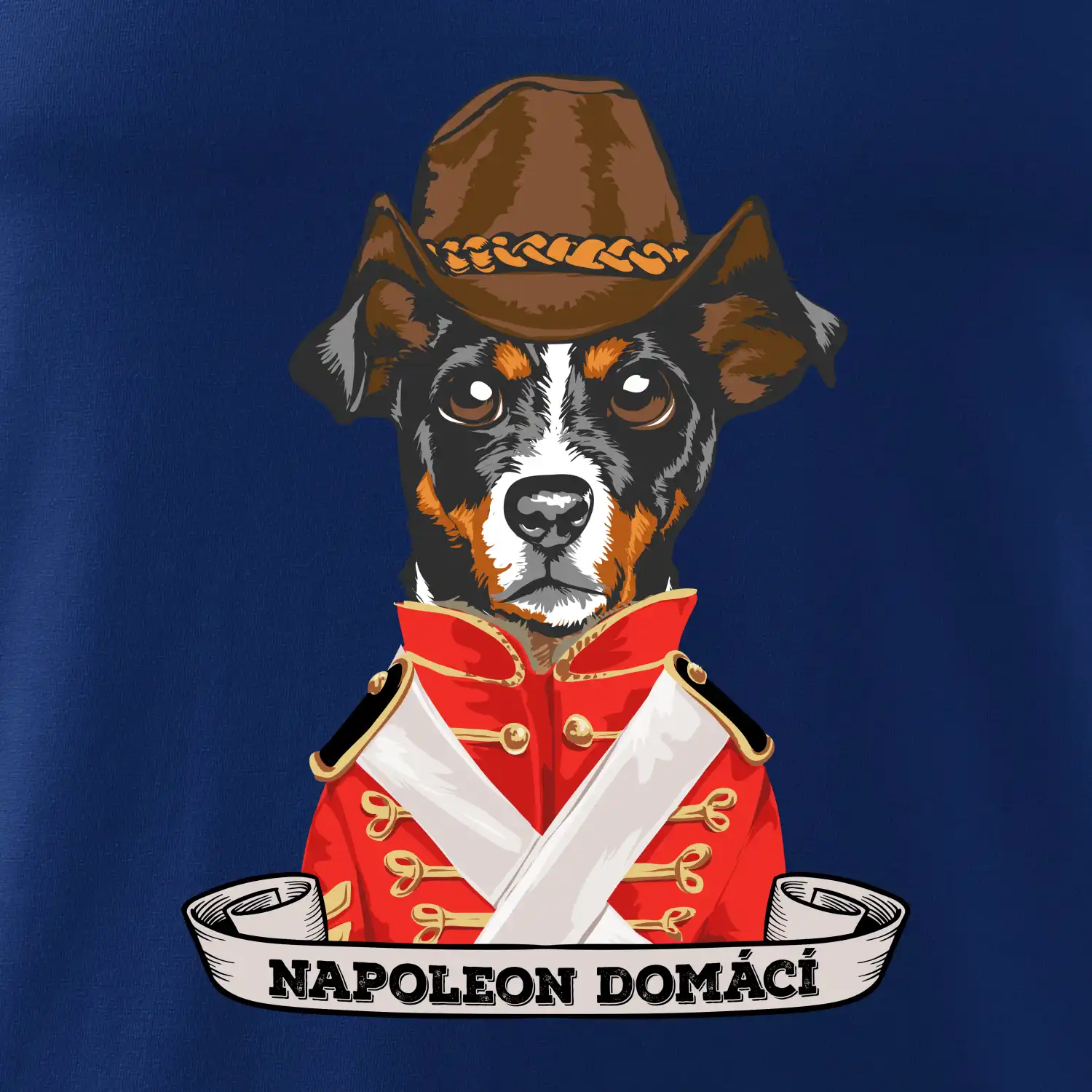 Napoleon domácí pes kříženec