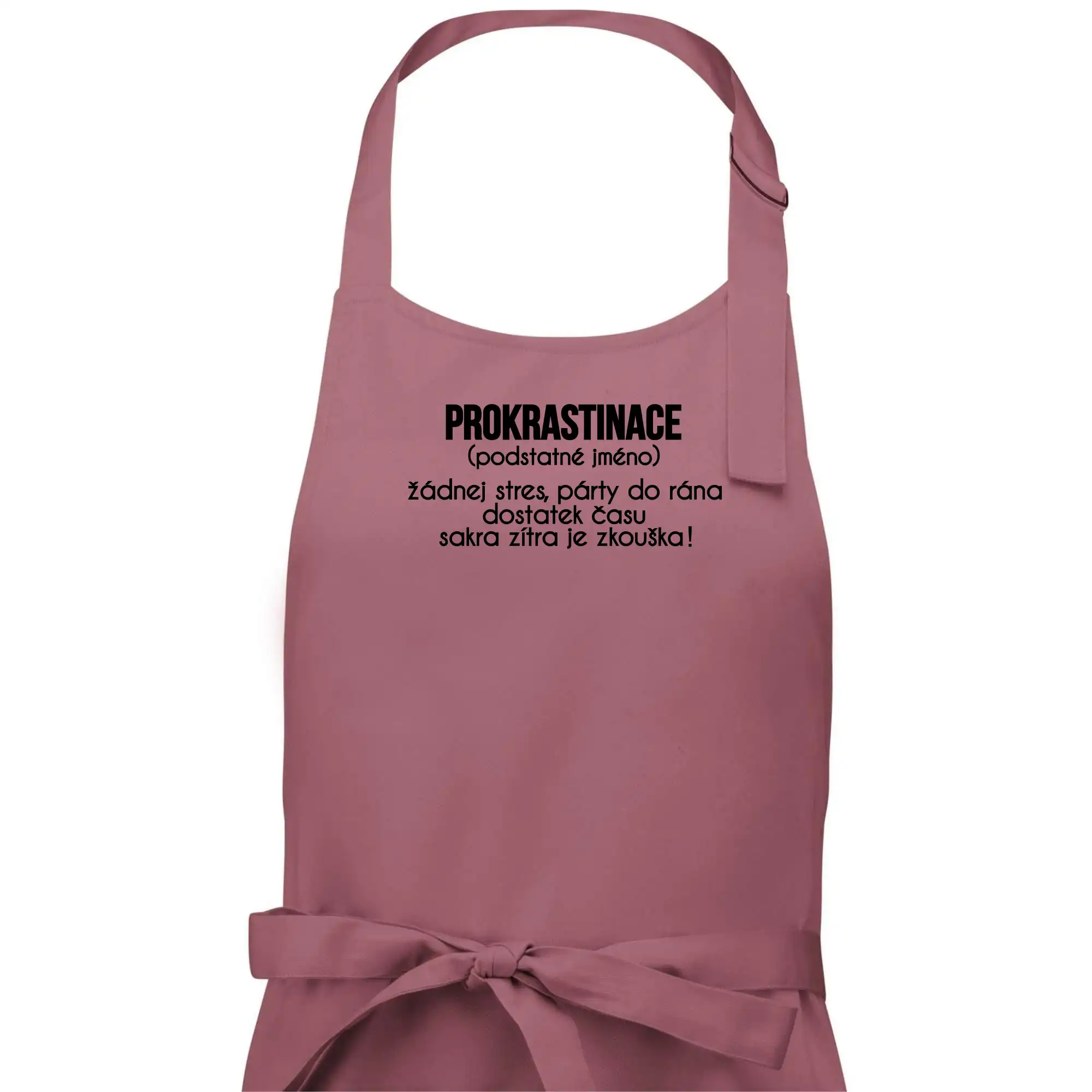 Prokrastinace - TEXT