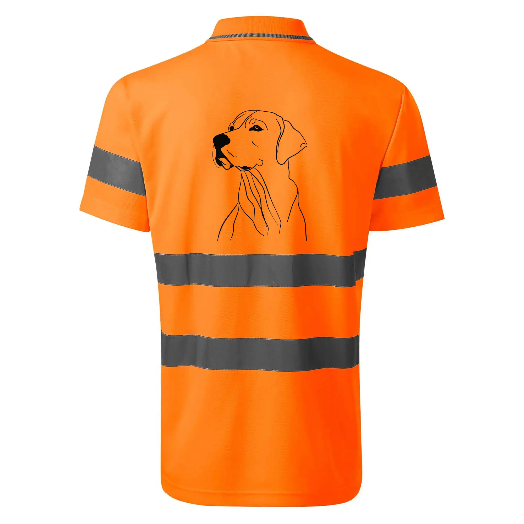 Labrador černá kresba