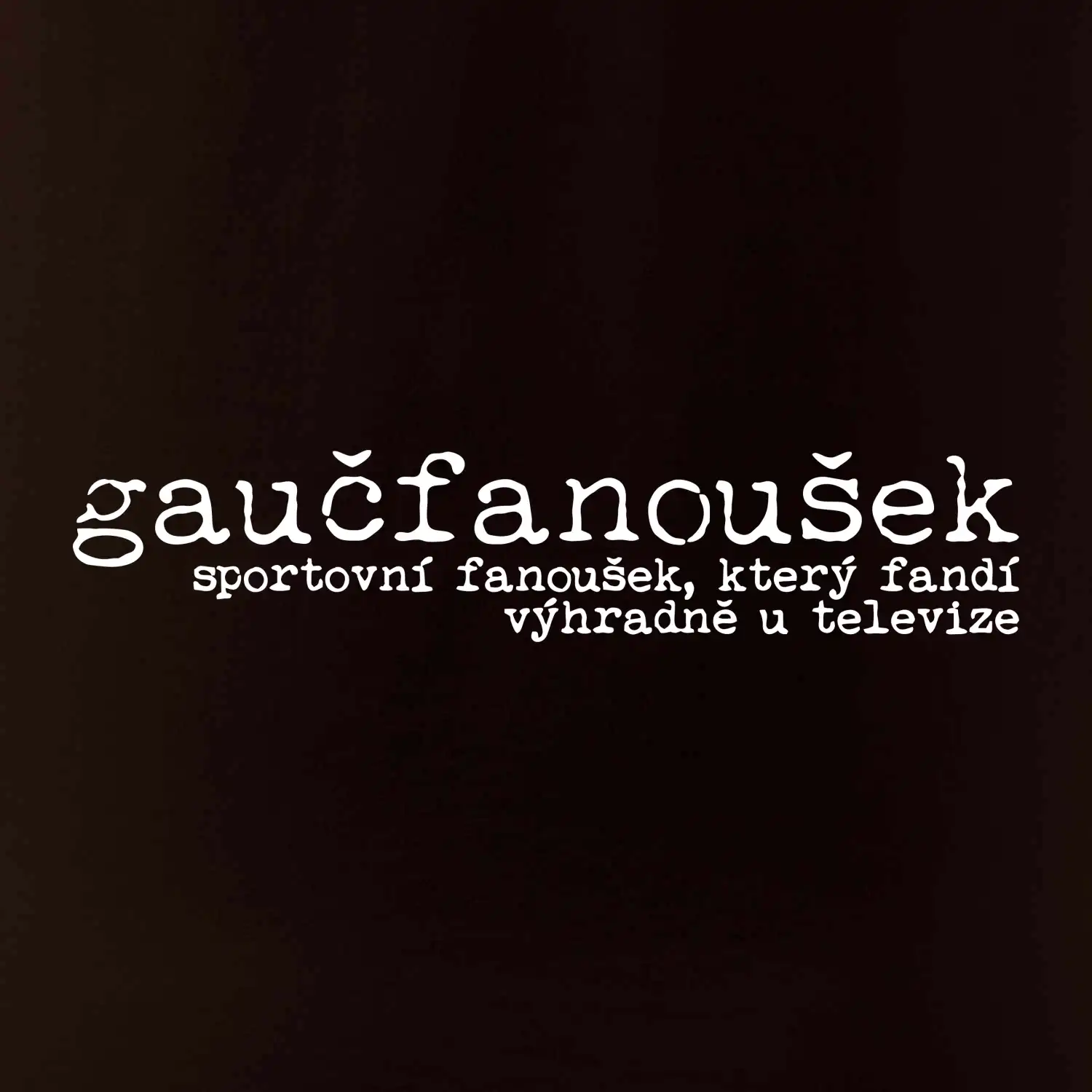 Čeština 2.0 - gaučfanoušek