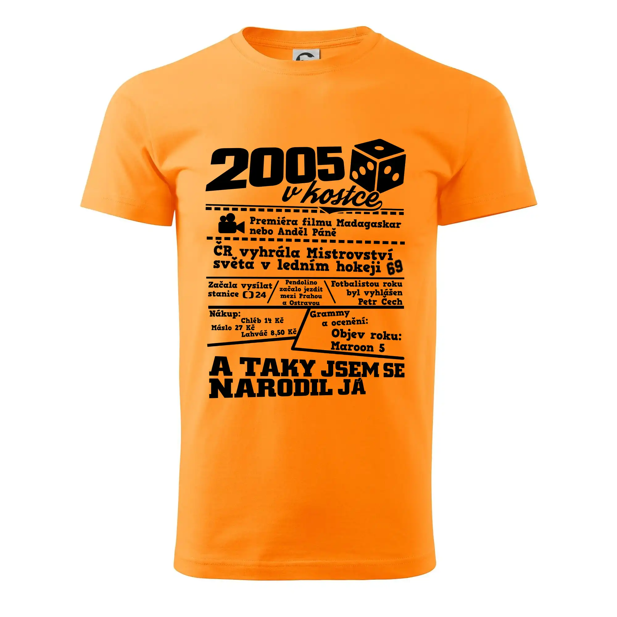 2005 v kostce
