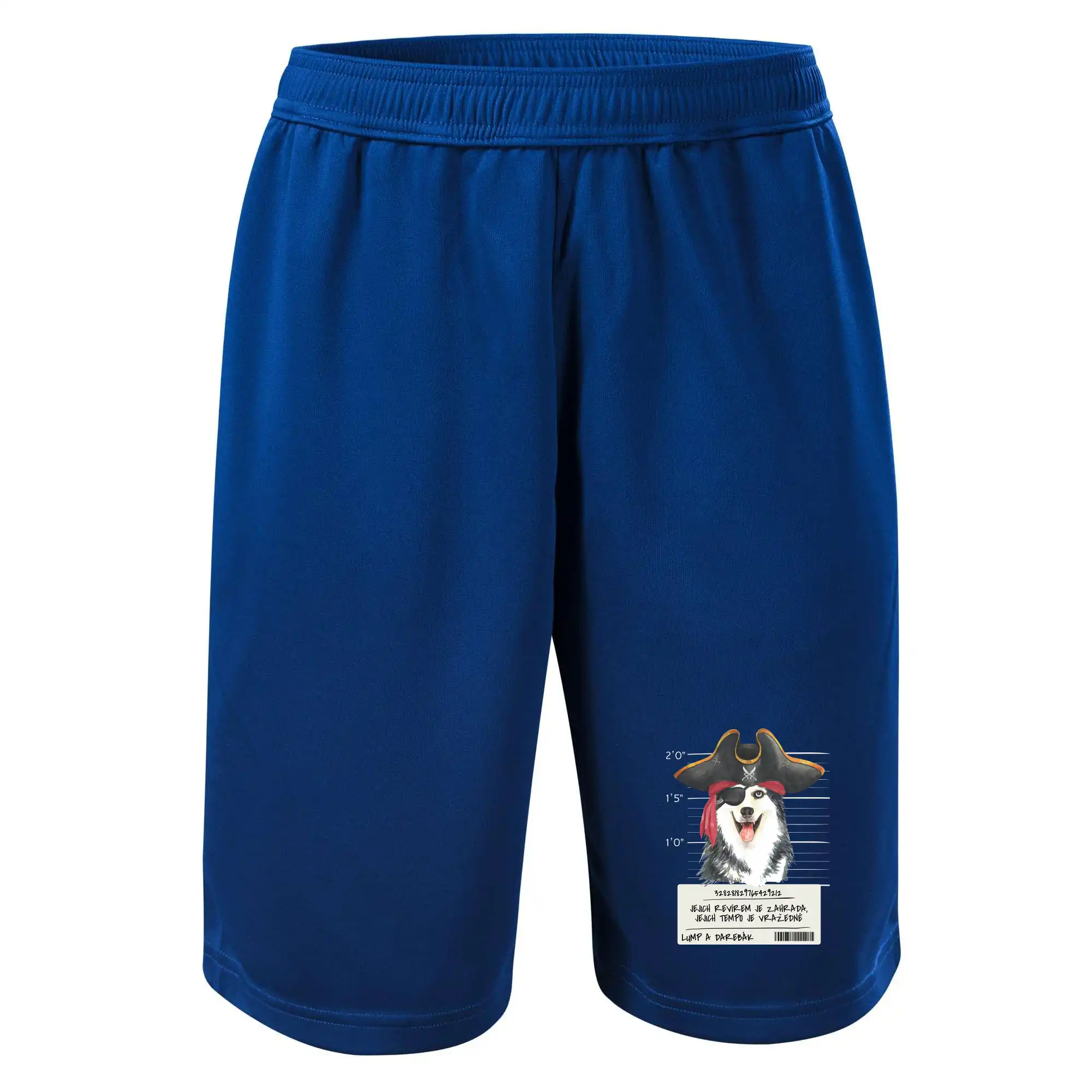 Lump a darebák husky