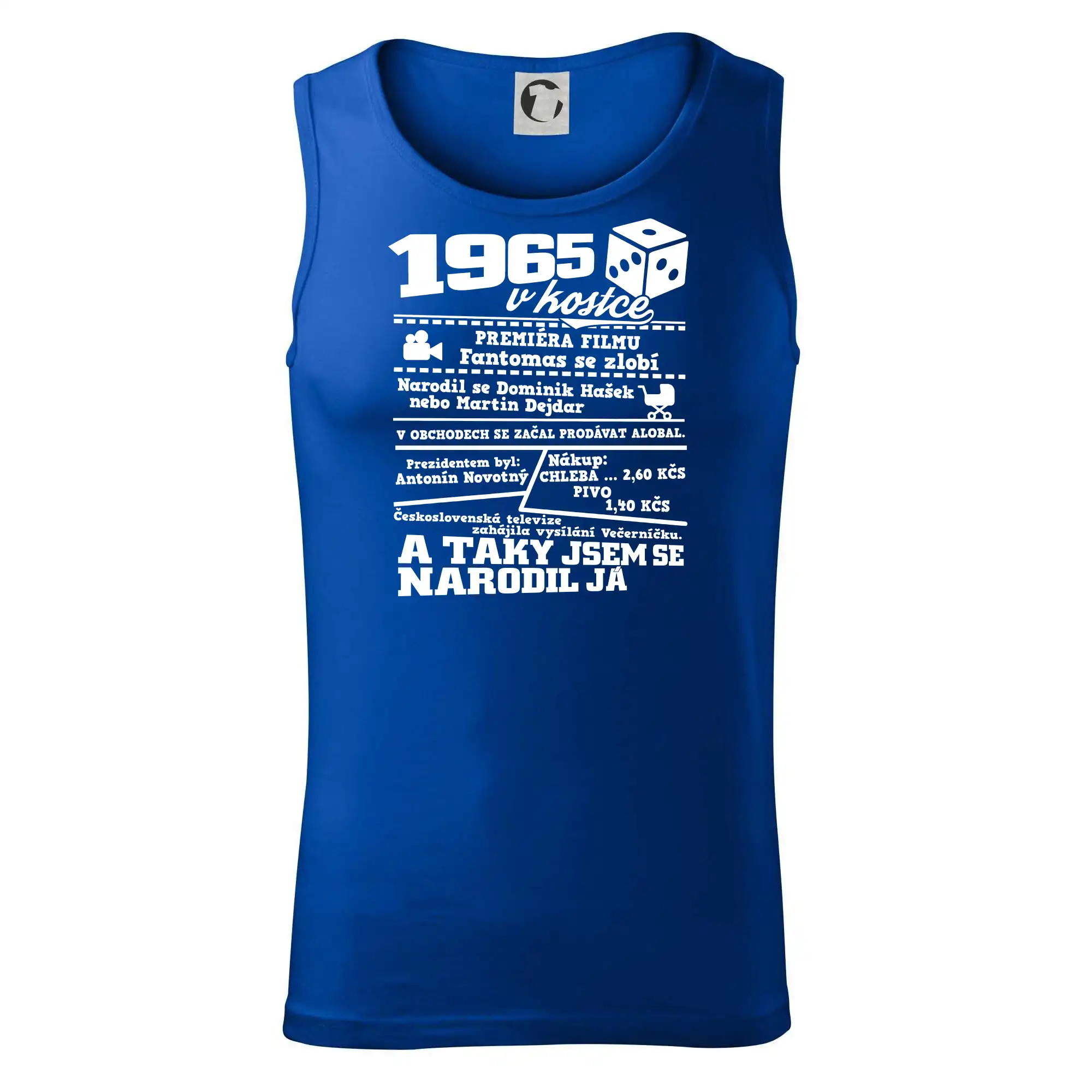 1965 v kostce