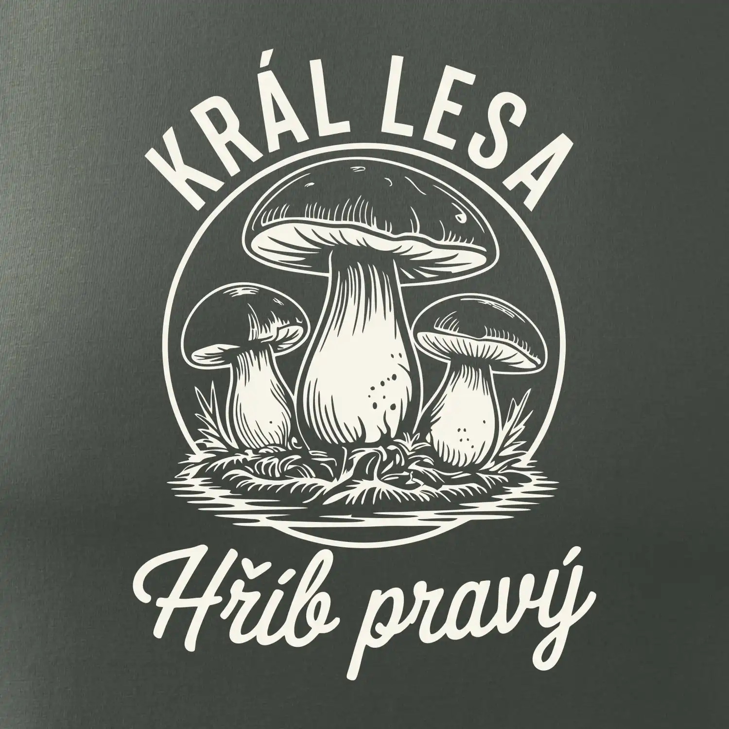 Král lesa hřib pravý