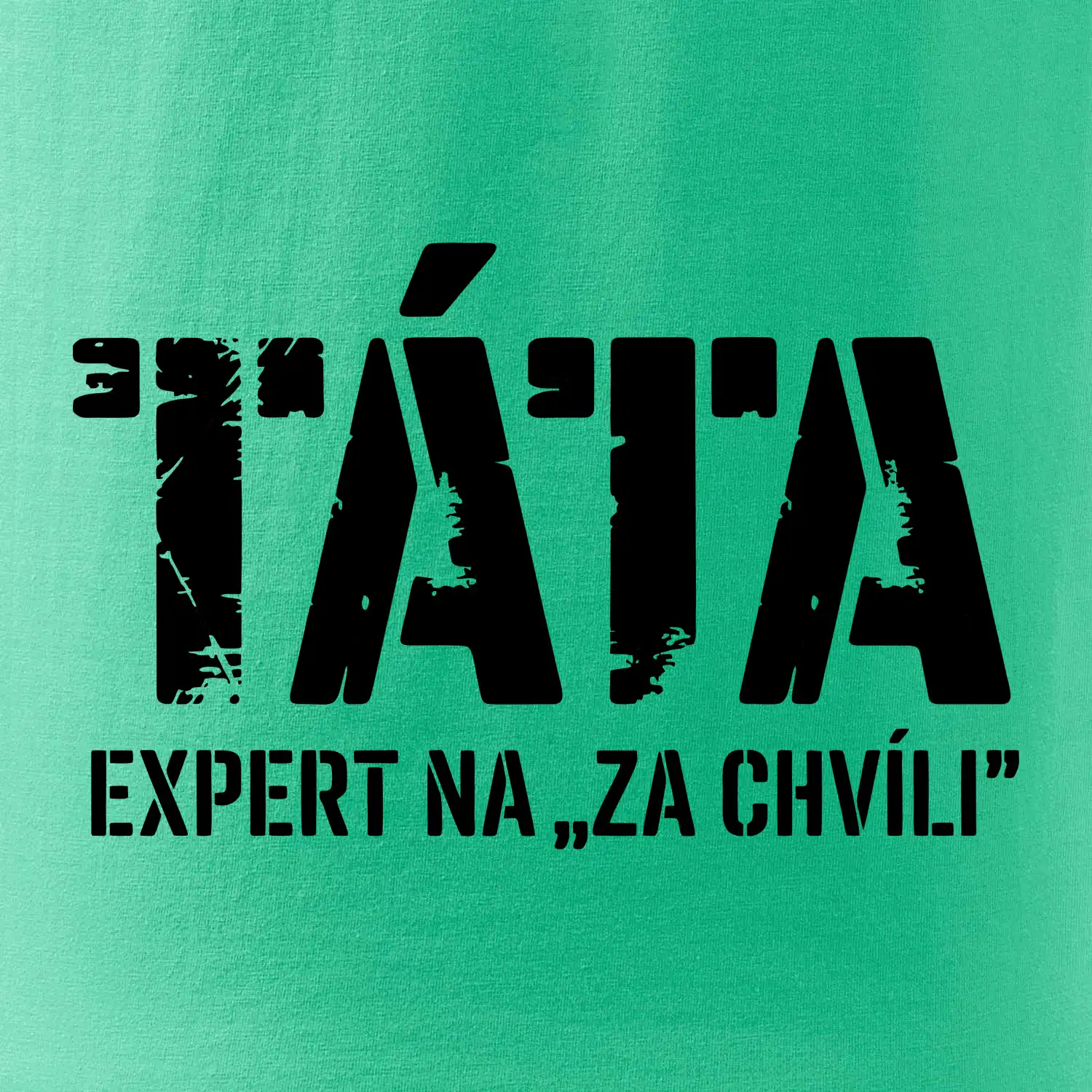 Táta - expert na za chvíli