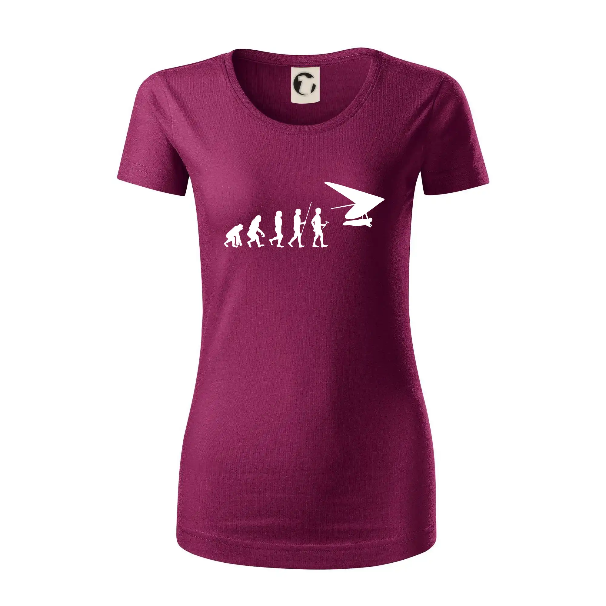 Evoluce rogalo