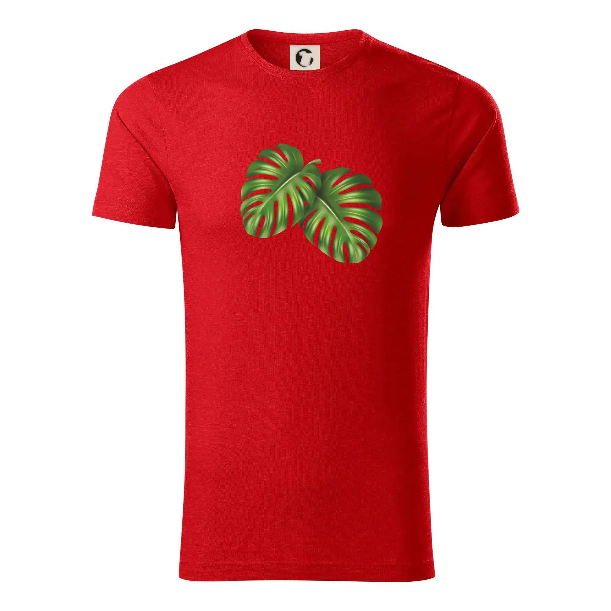 Monstera - dva listy