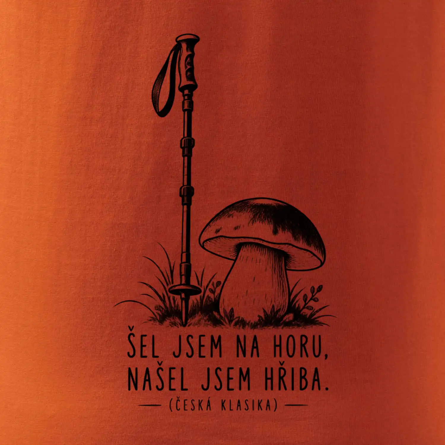 Šel jsem na horu našel jsem hřiba česká klasika