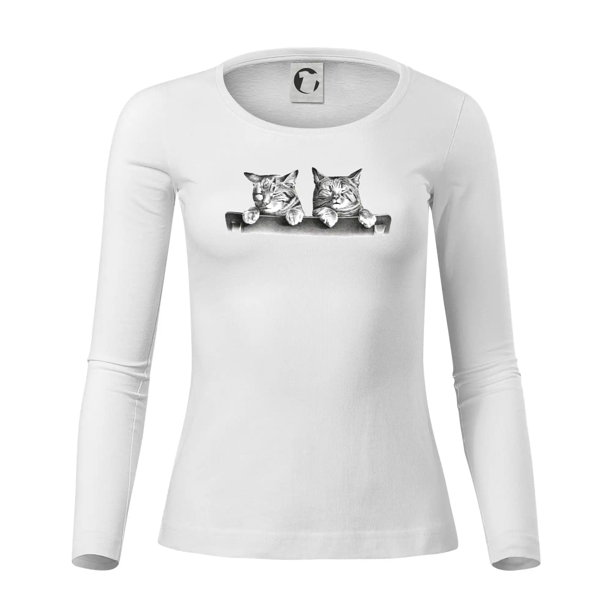 Dvě koťátka na židli