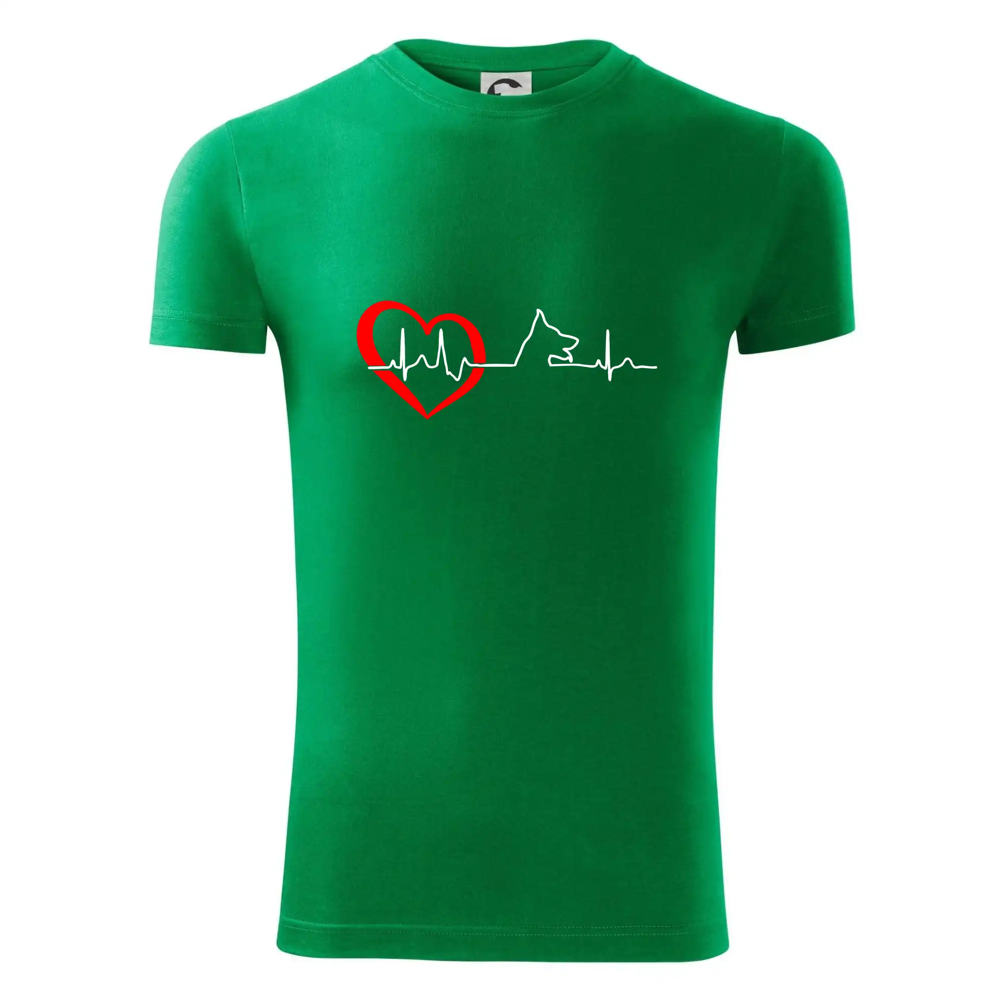 Německý ovčák ekg