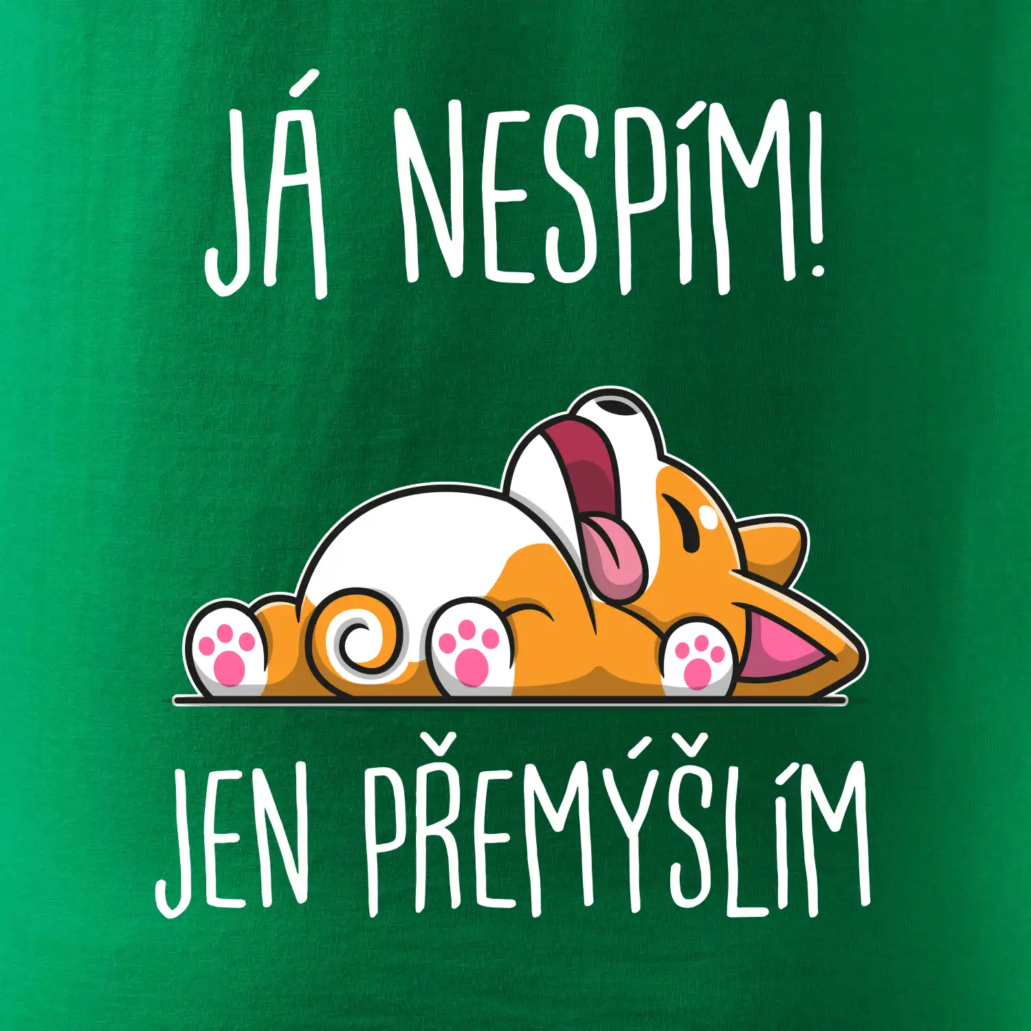 Já nespím, jen přemýšlím