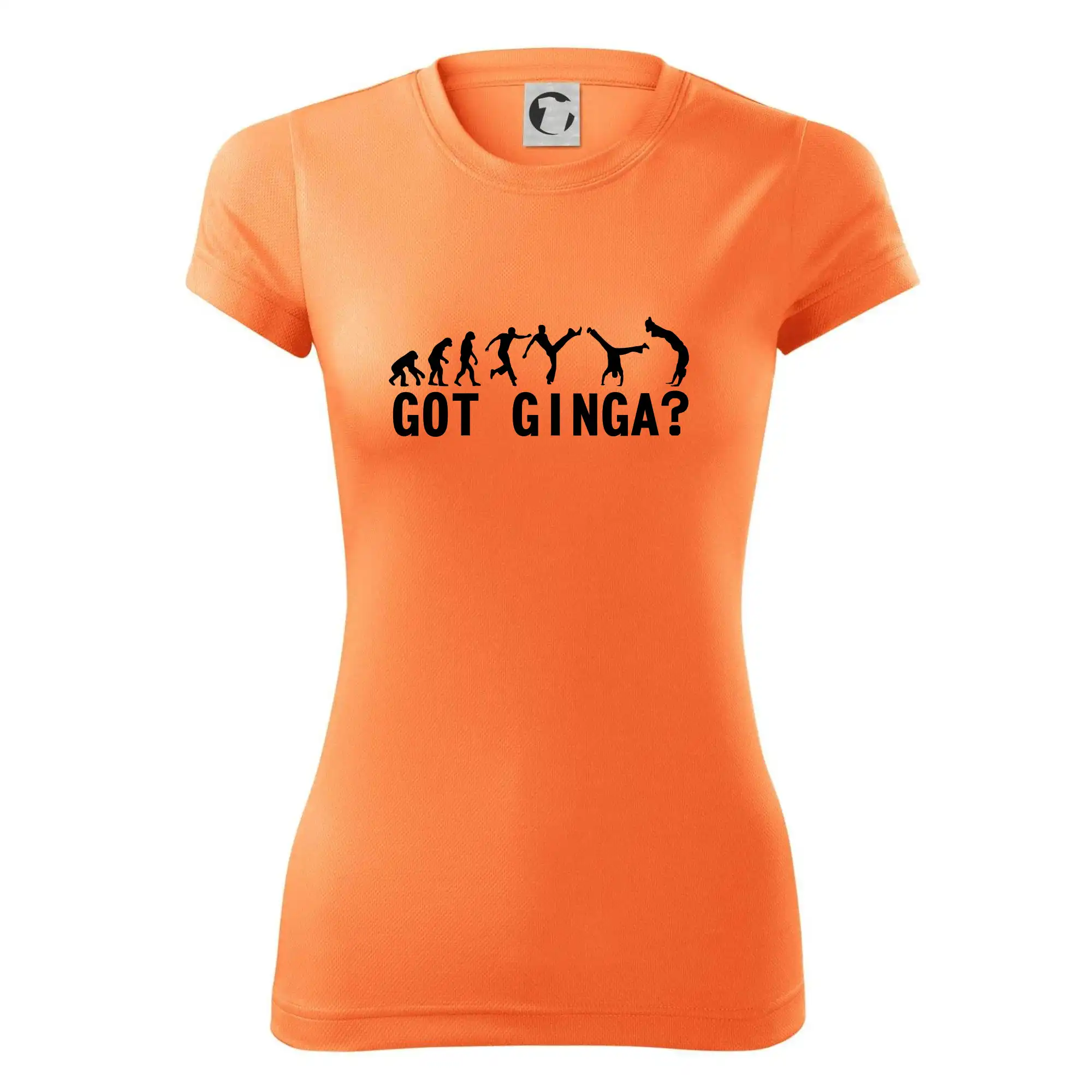 Capoeira - Got Ginga