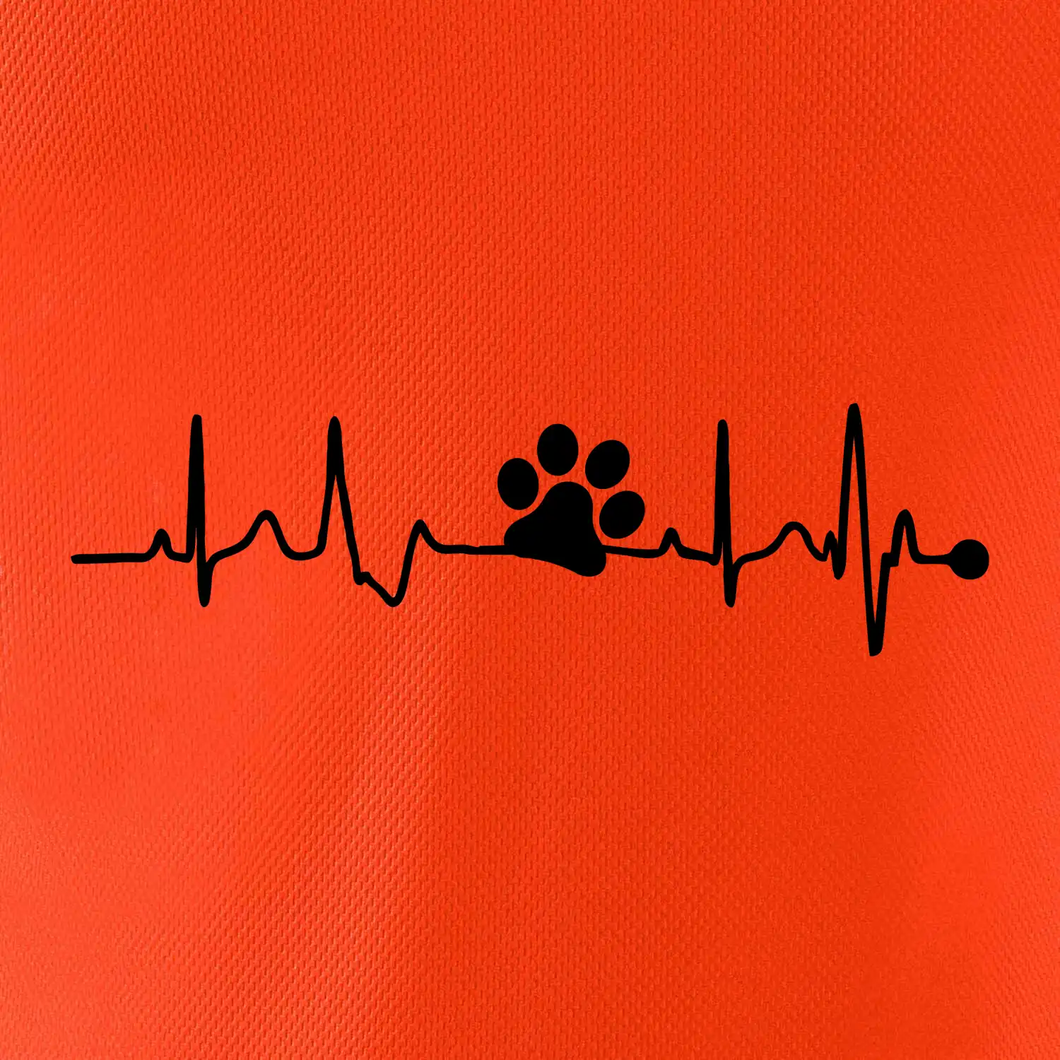 Ekg psí tlapka
