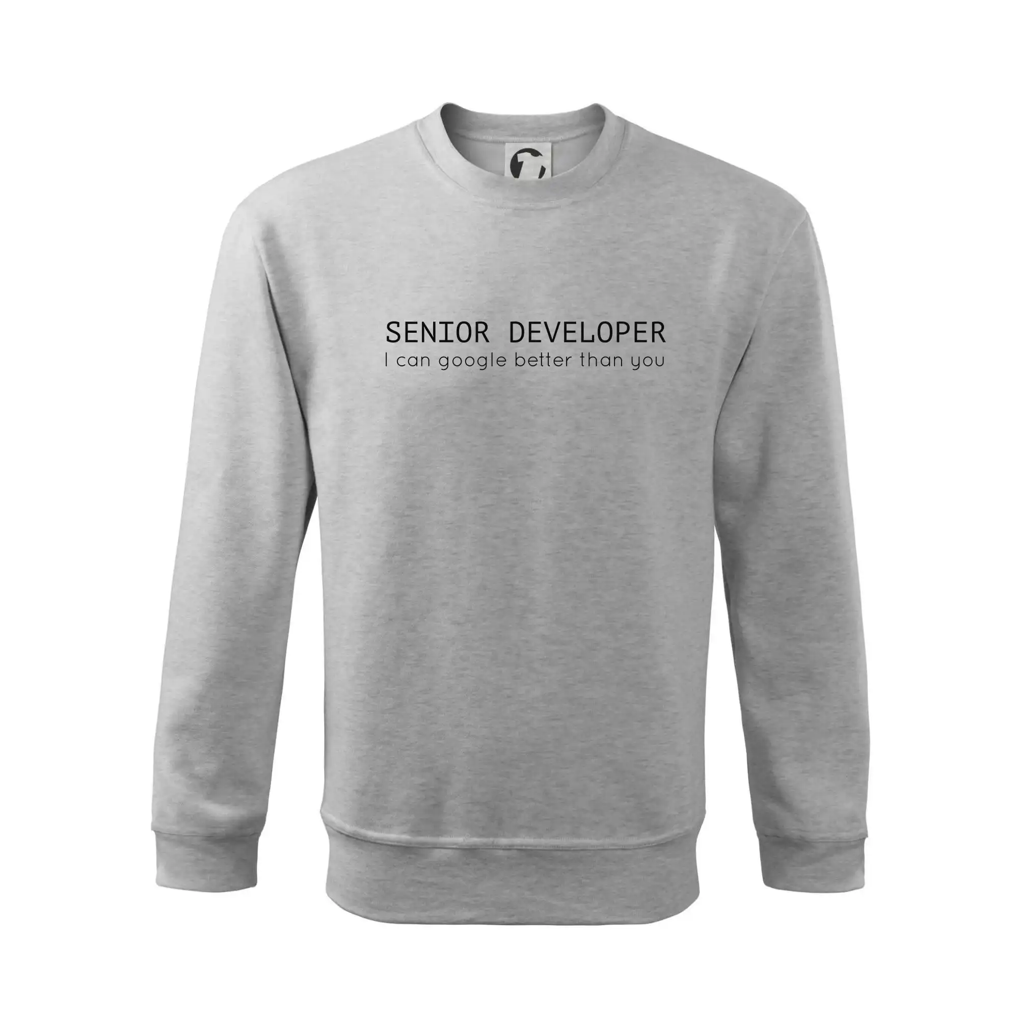 Senior developer google better than you