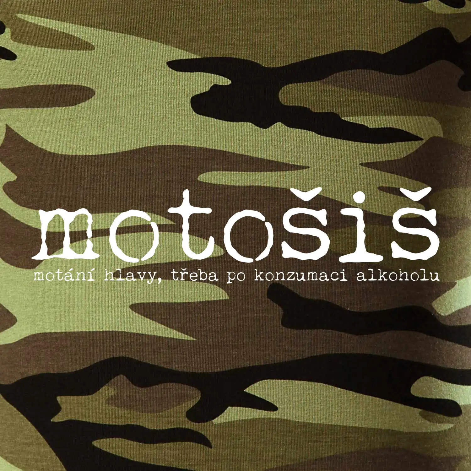 Čeština 2.0 - motošiš