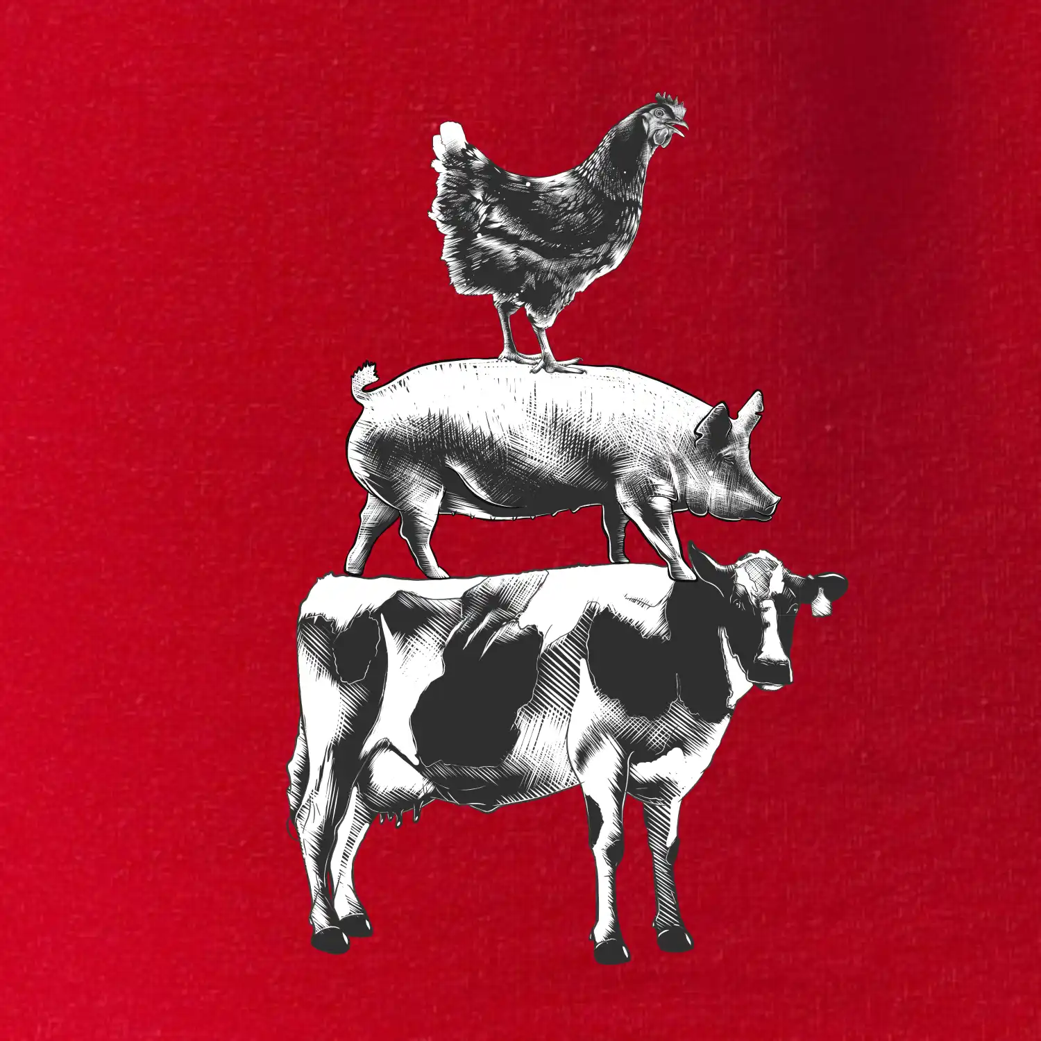 Slípka prase kravka