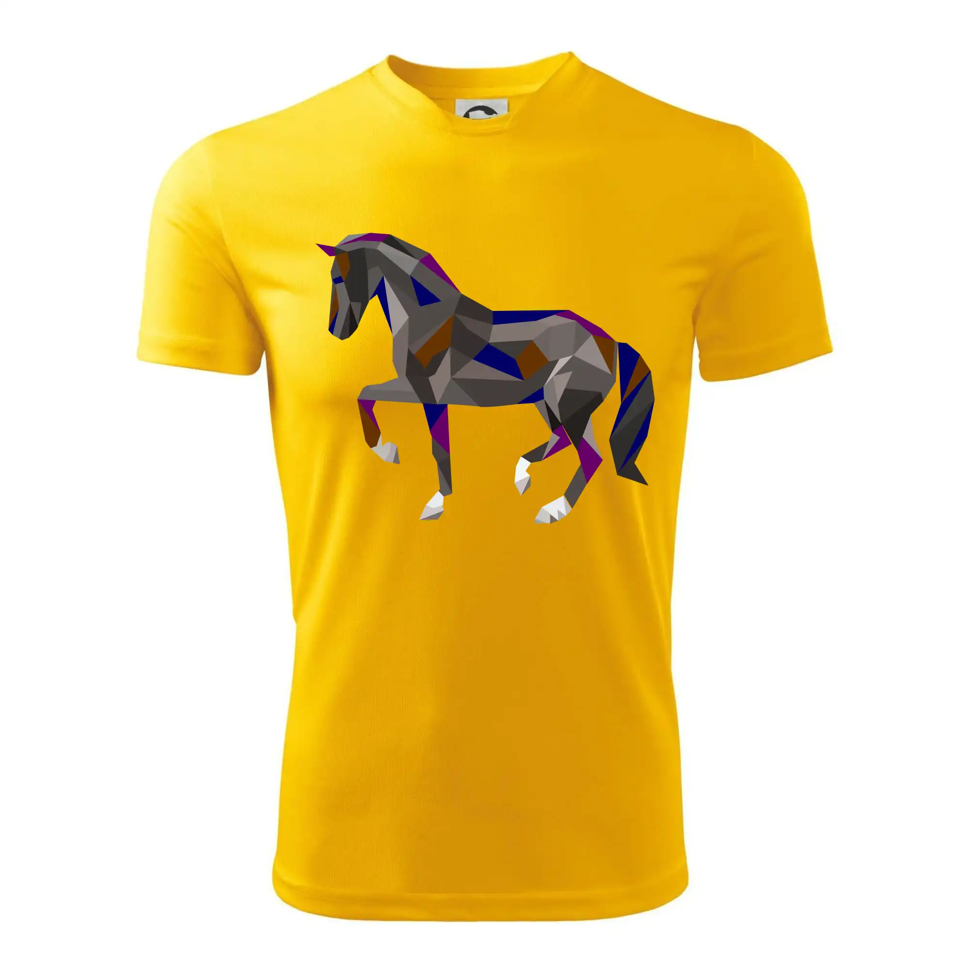 Kůň geometrie barevný