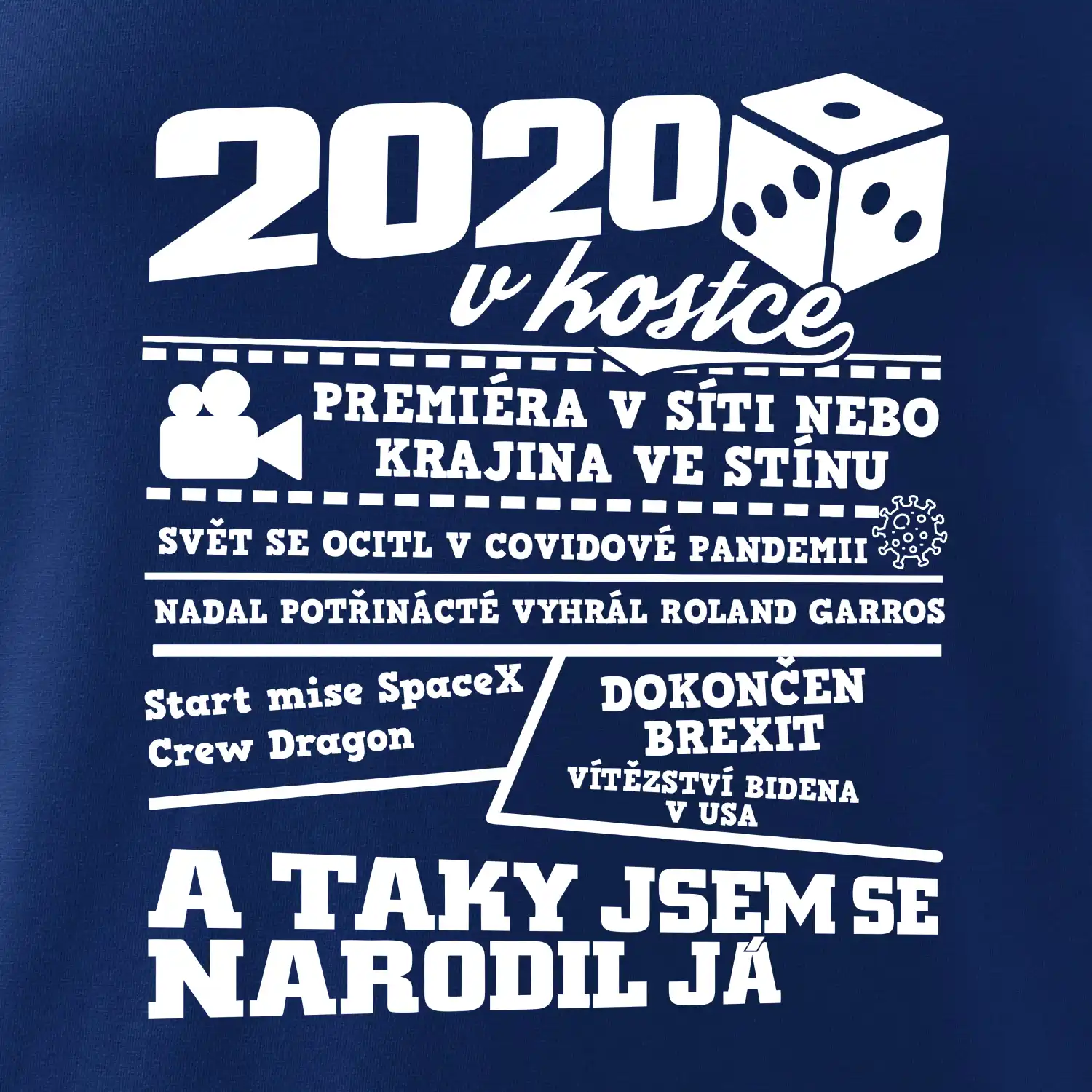 2020 v kostce