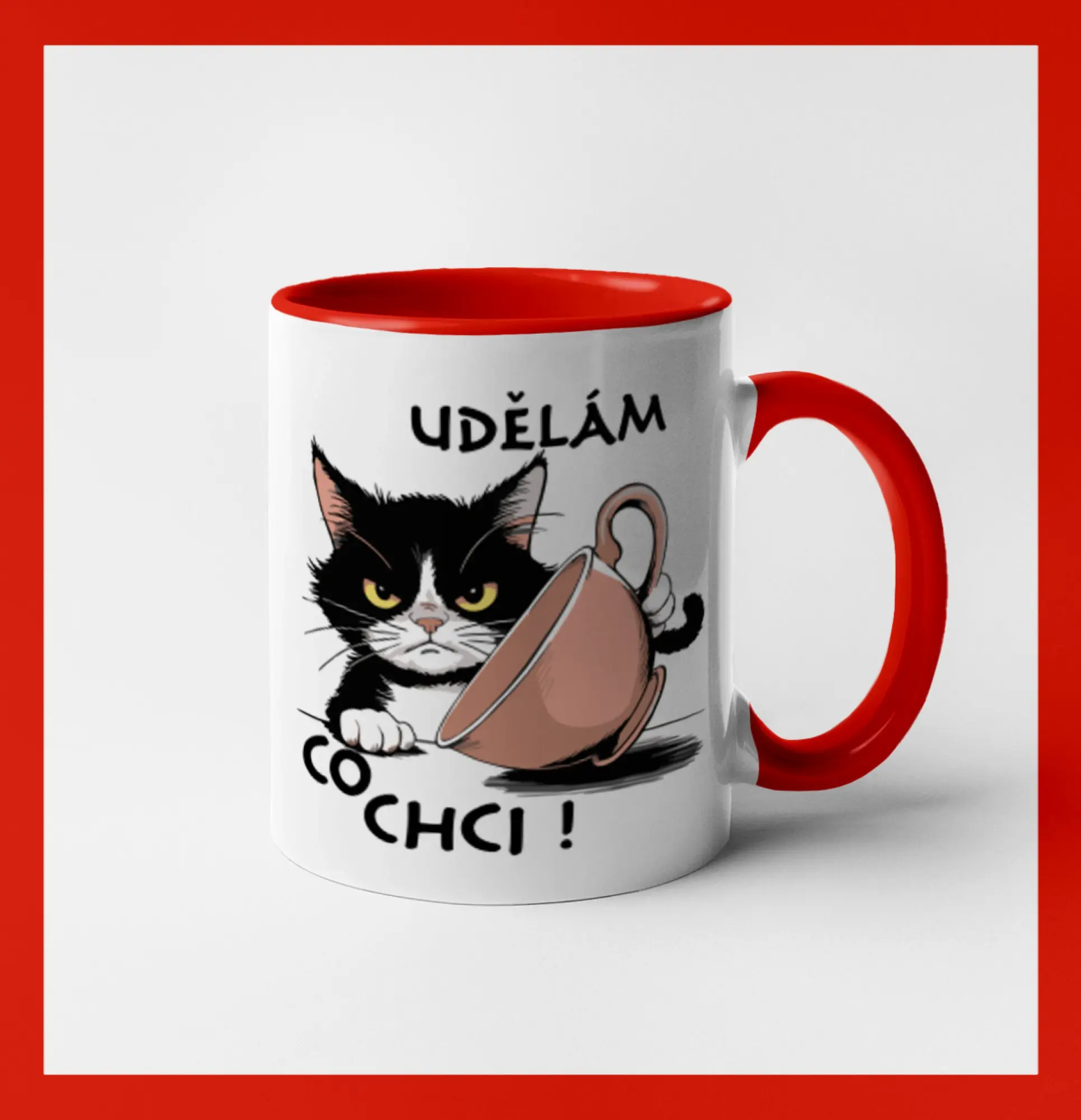 Kočka - udělám co chci